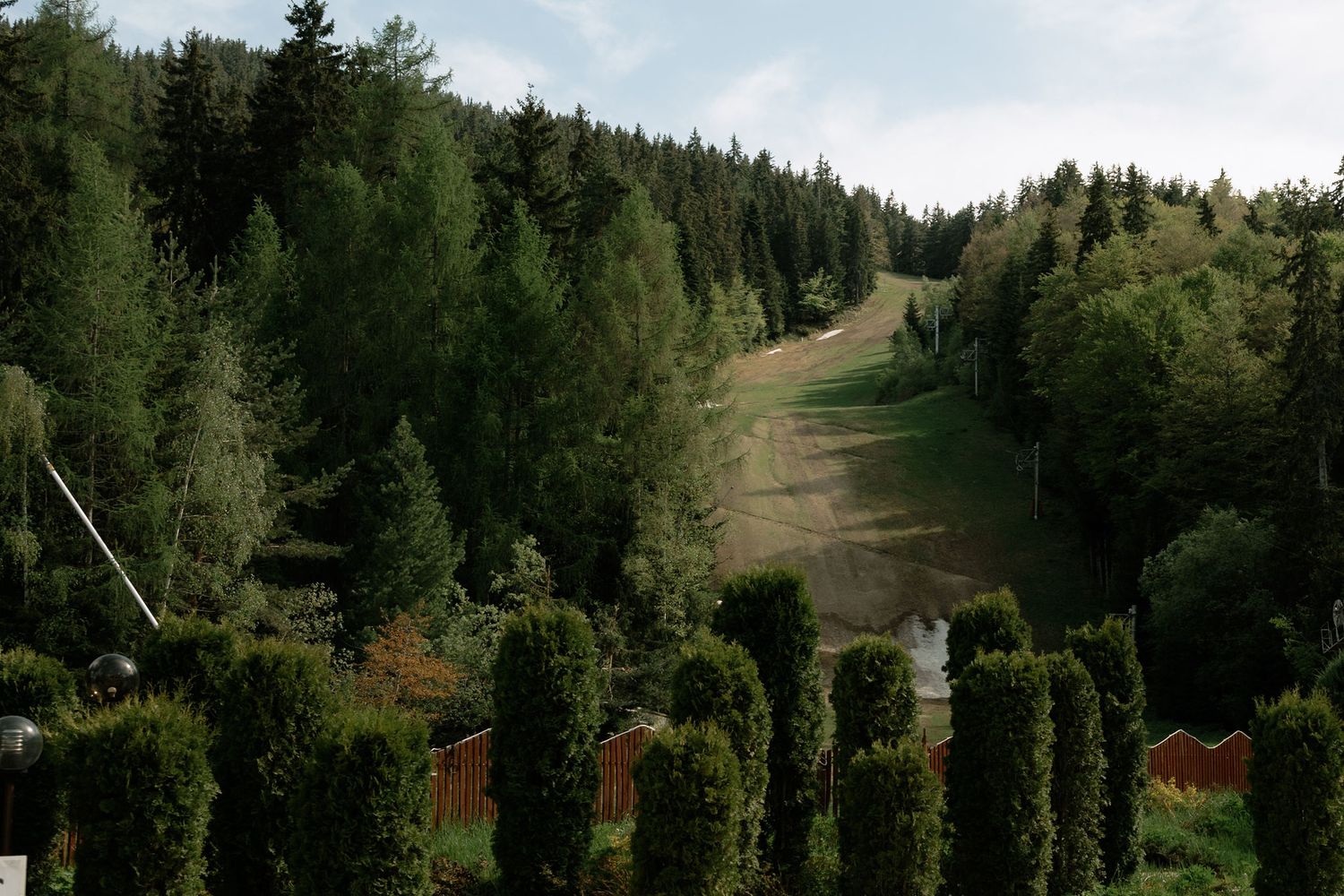 Lush green forest hillside with a cleared ski slope path surrounded by tall evergreen trees and fenced garden.