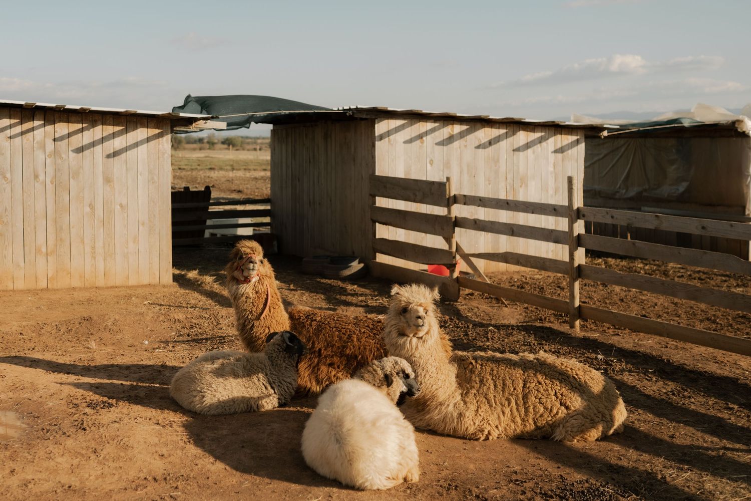 A scenic view of a rustic barn with wooden fencing and horses grazing in a rural setting during sunset.