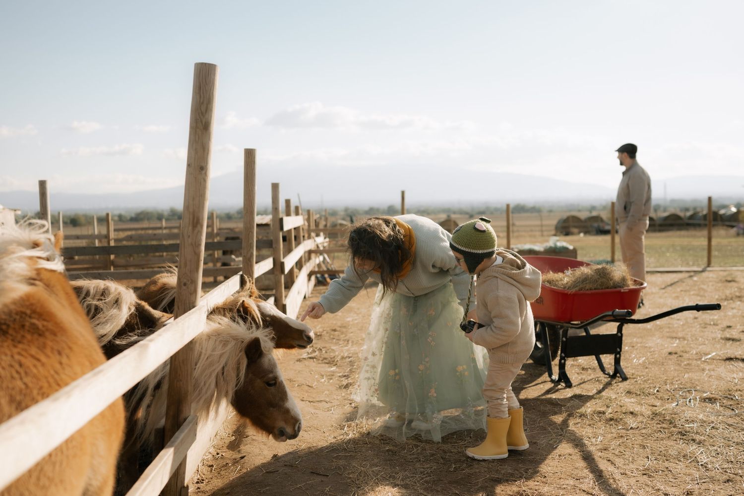 Workers tend to livestock in a desert ranch setting with wheelbarrows and fencing visible in the dusty landscape.