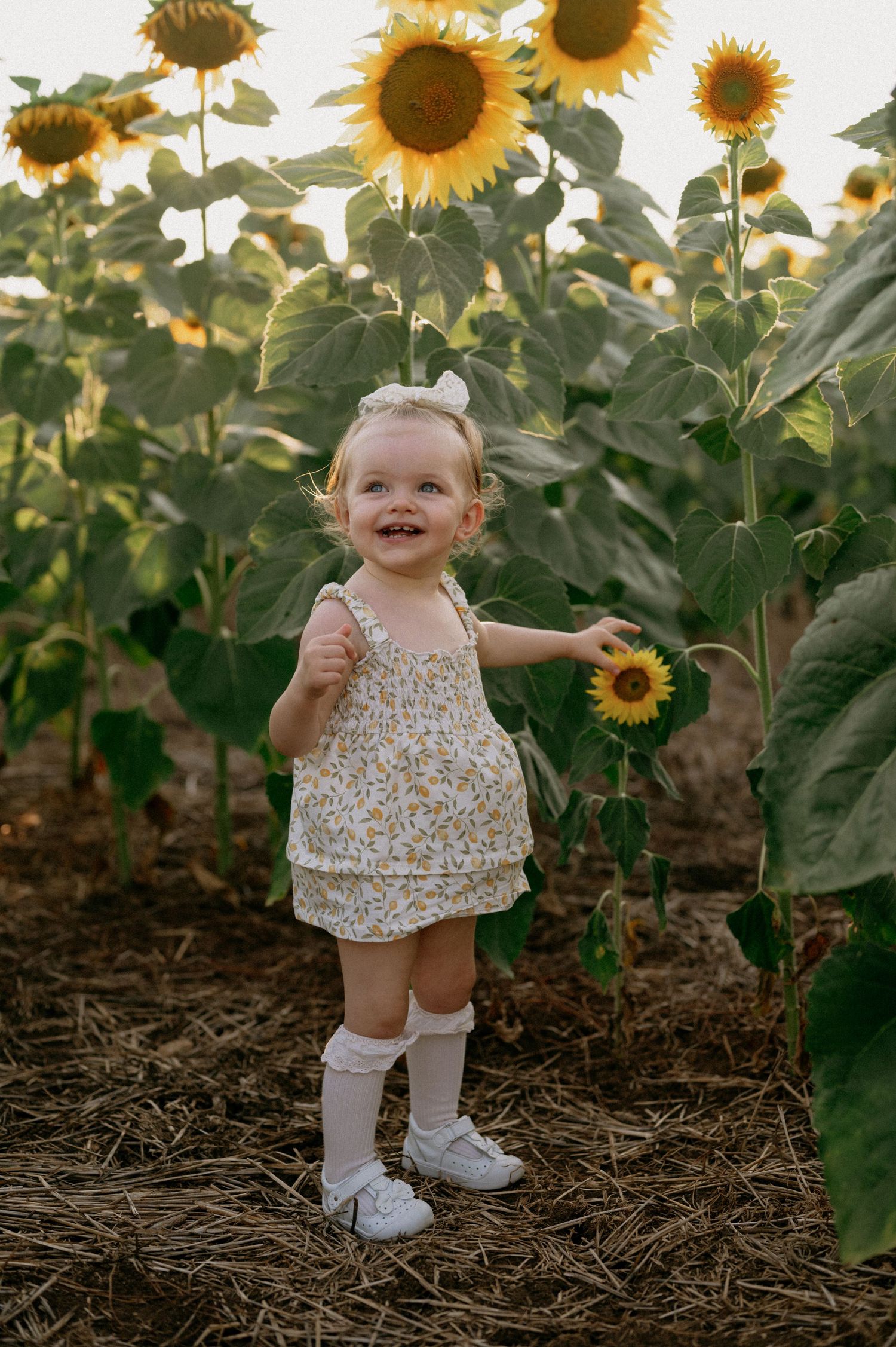 A smiling toddler girl in a floral outfit stands in a sunflower field, holding a sunflower bloom.