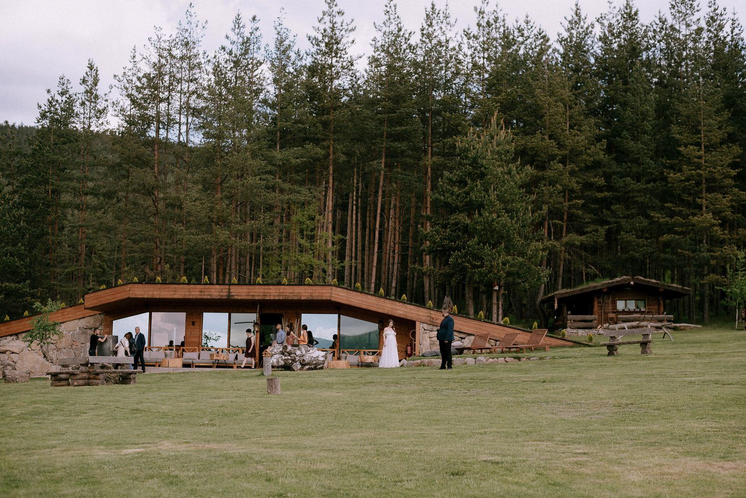 Modern earth-sheltered venue with glass facade nestled in pine forest.