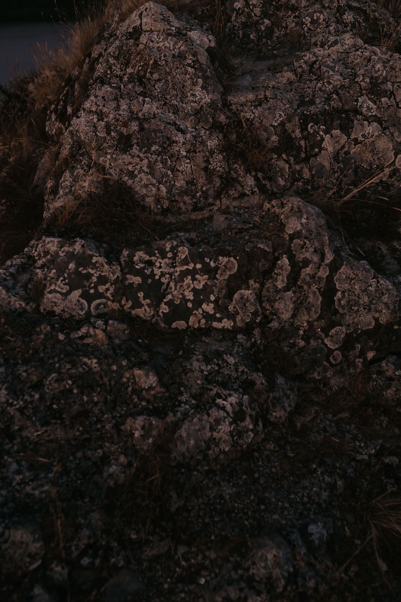 Close-up texture of rocky terrain illuminated by warm evening light.