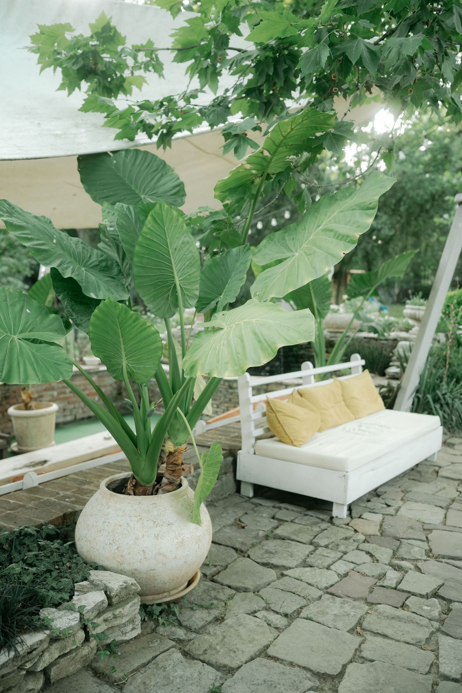 A white porch swing surrounded by lush green plants and tropical leaves on a stone patio creates a peaceful outdoor seating area.