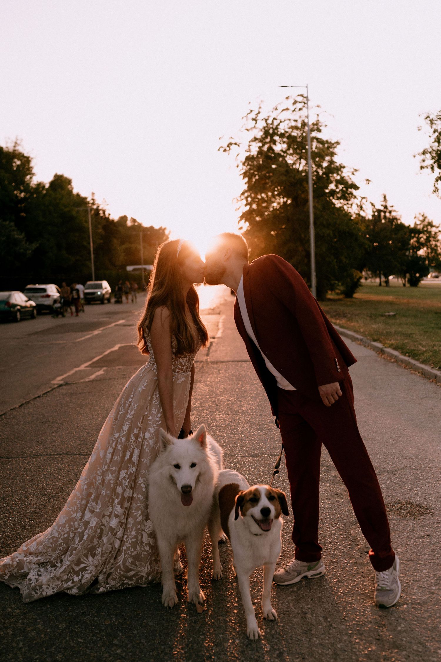 Two dogs pose with their owners on a street during golden hour.