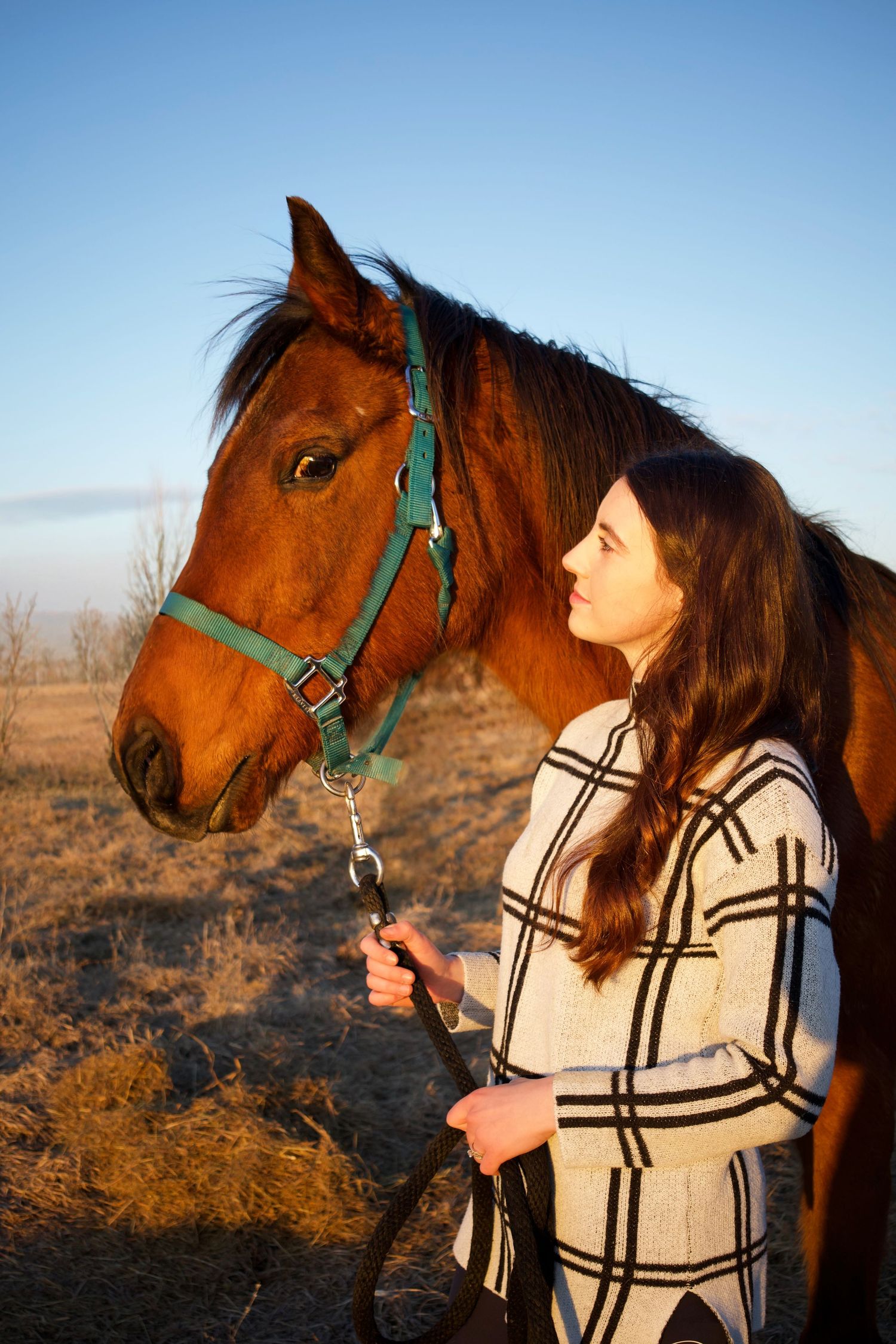 Young woman in plaid coat holds lead rope of bay horse with green halter in golden hour sunlight outdoors.