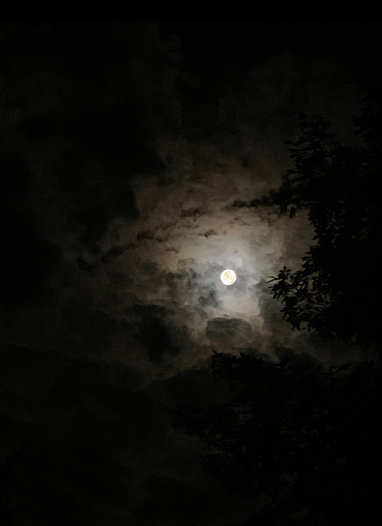 Full moon glowing through dramatic clouds at night with silhouetted tree branches in dark sky.