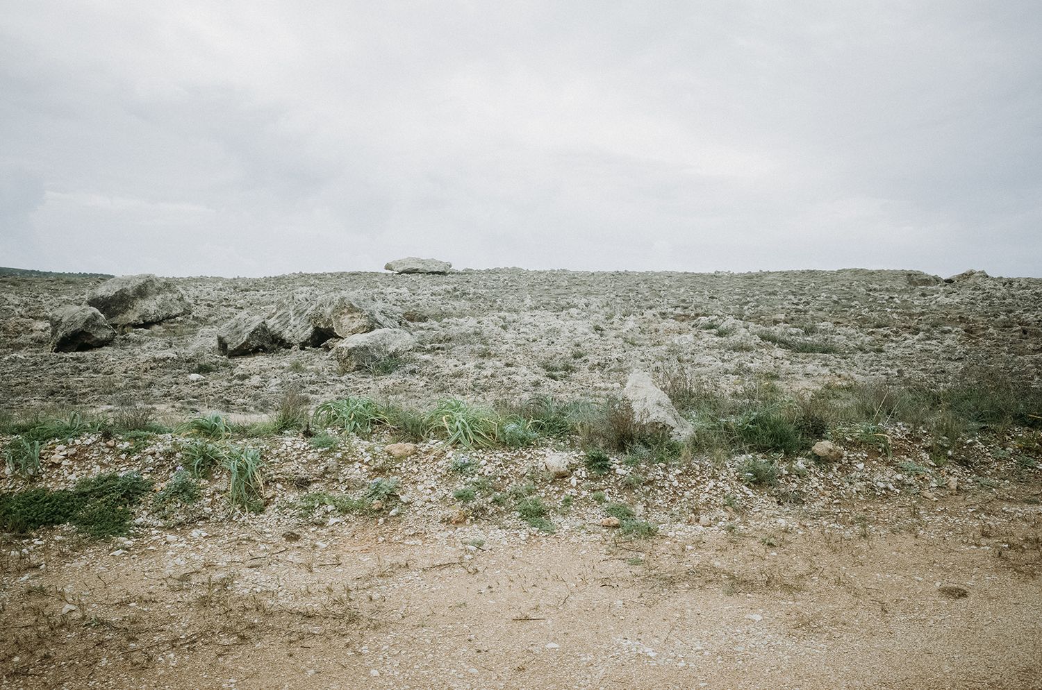 A panoramic view of a barren desert landscape with scattered rocks and sparse vegetation under an overcast sky.