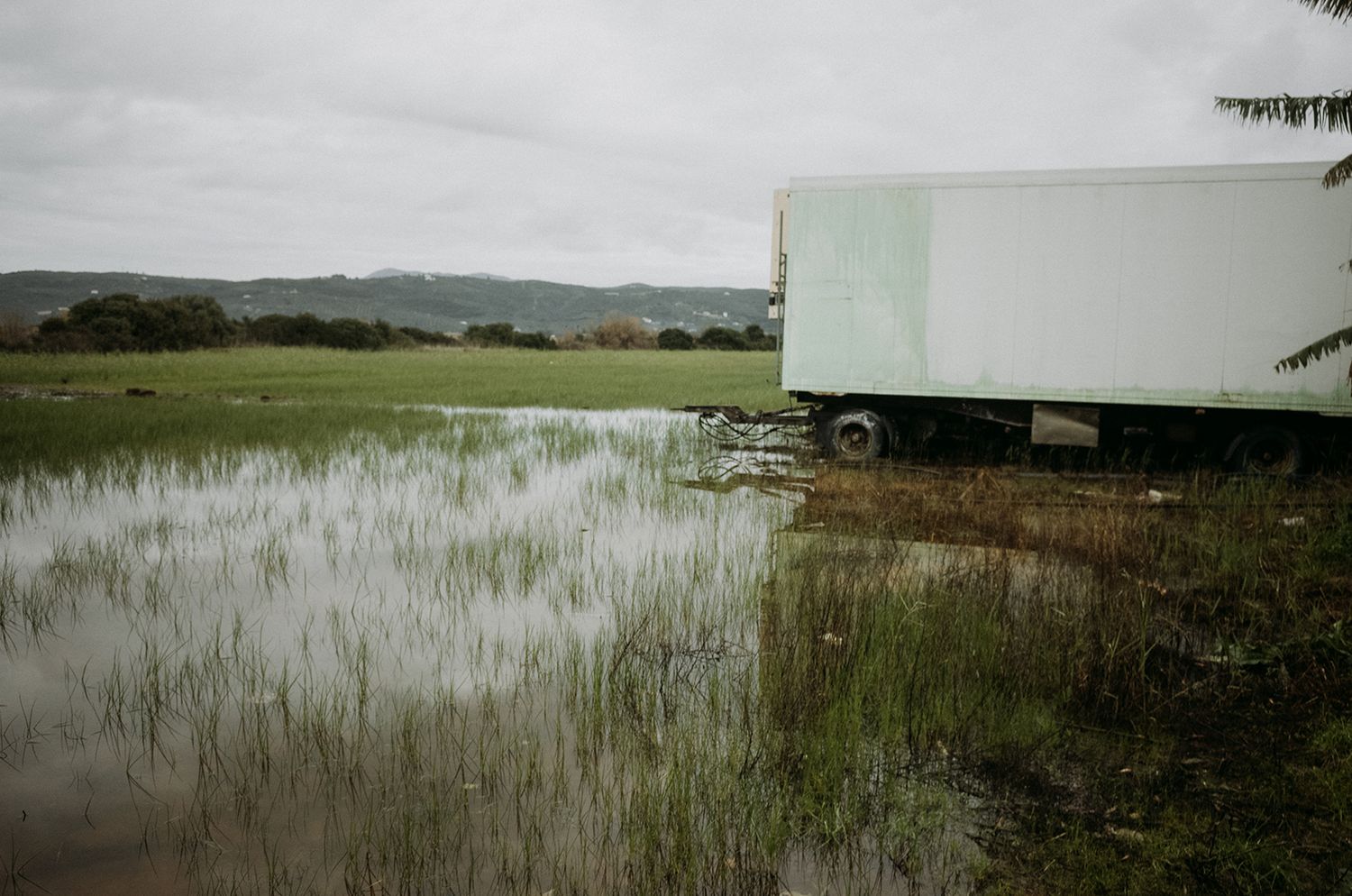 Flooded farmland with standing water covering grassy fields and agricultural structures in the distance.