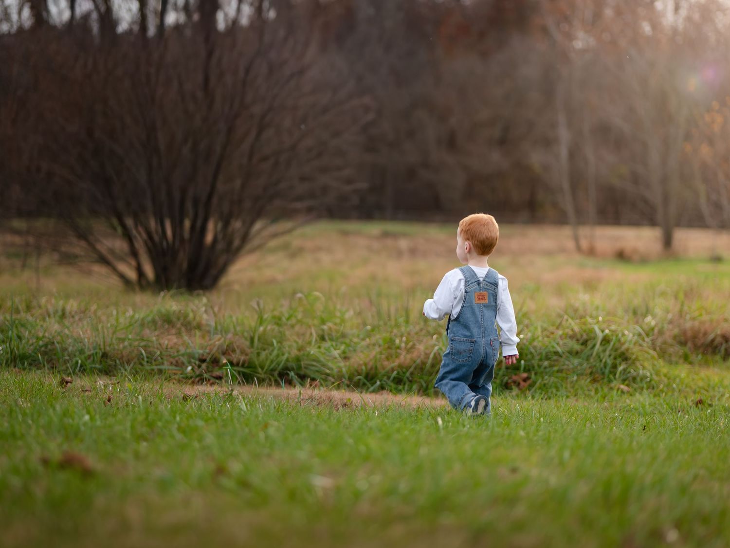 A sequence of photos shows someone walking through a grassy field on an autumn day with trees in the background.