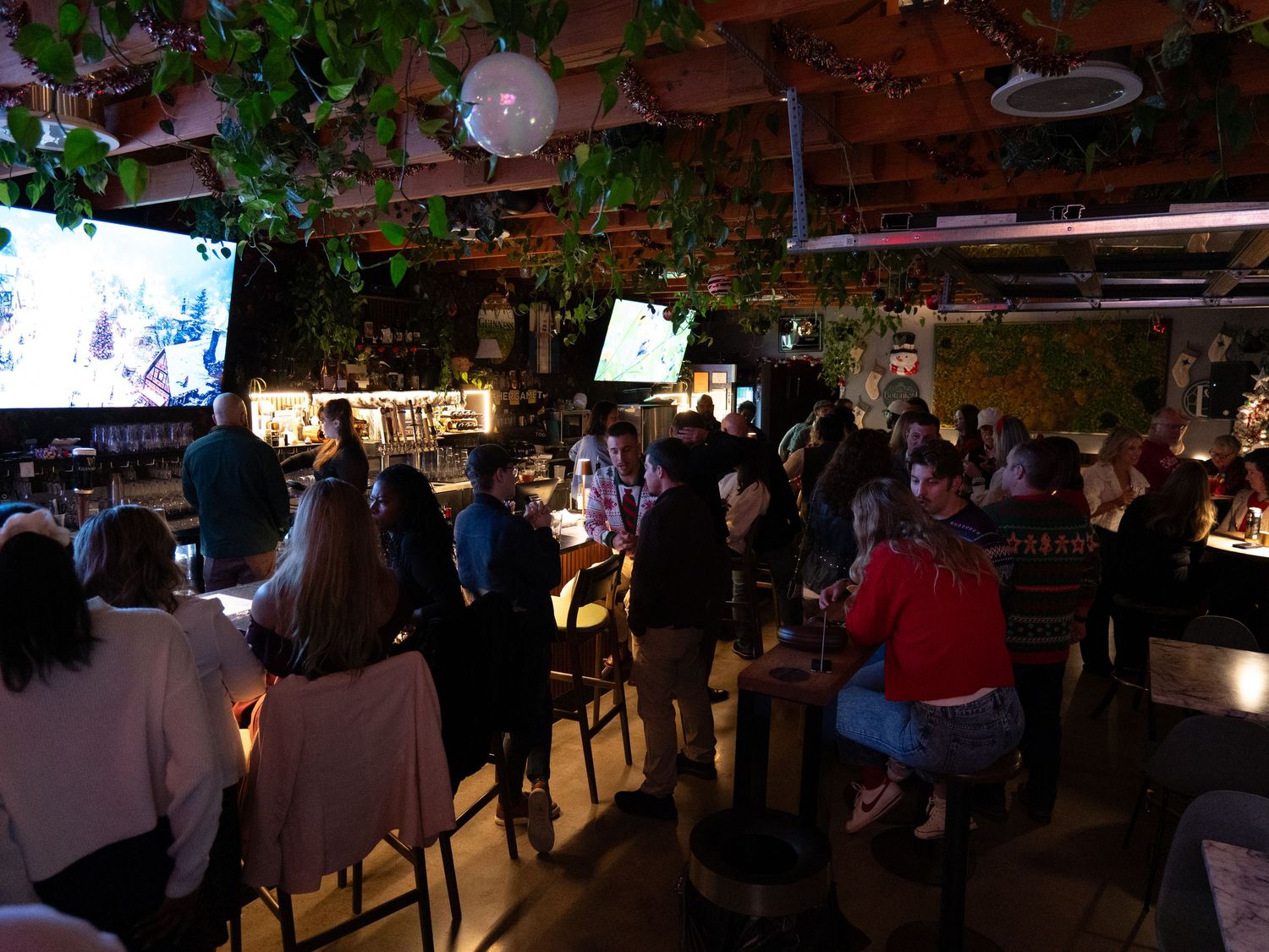 A dimly lit restaurant interior with hanging plants and ambient lighting creates a cozy dining atmosphere.