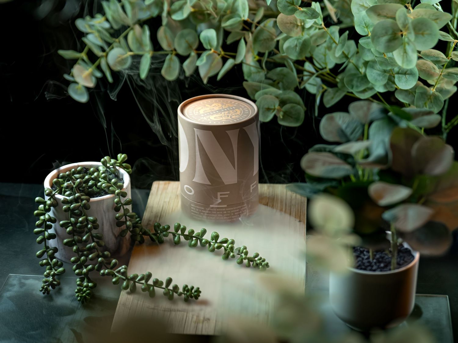 Elegant cylindrical candle with minimalist branding displayed on wood block surrounded by lush green plants.