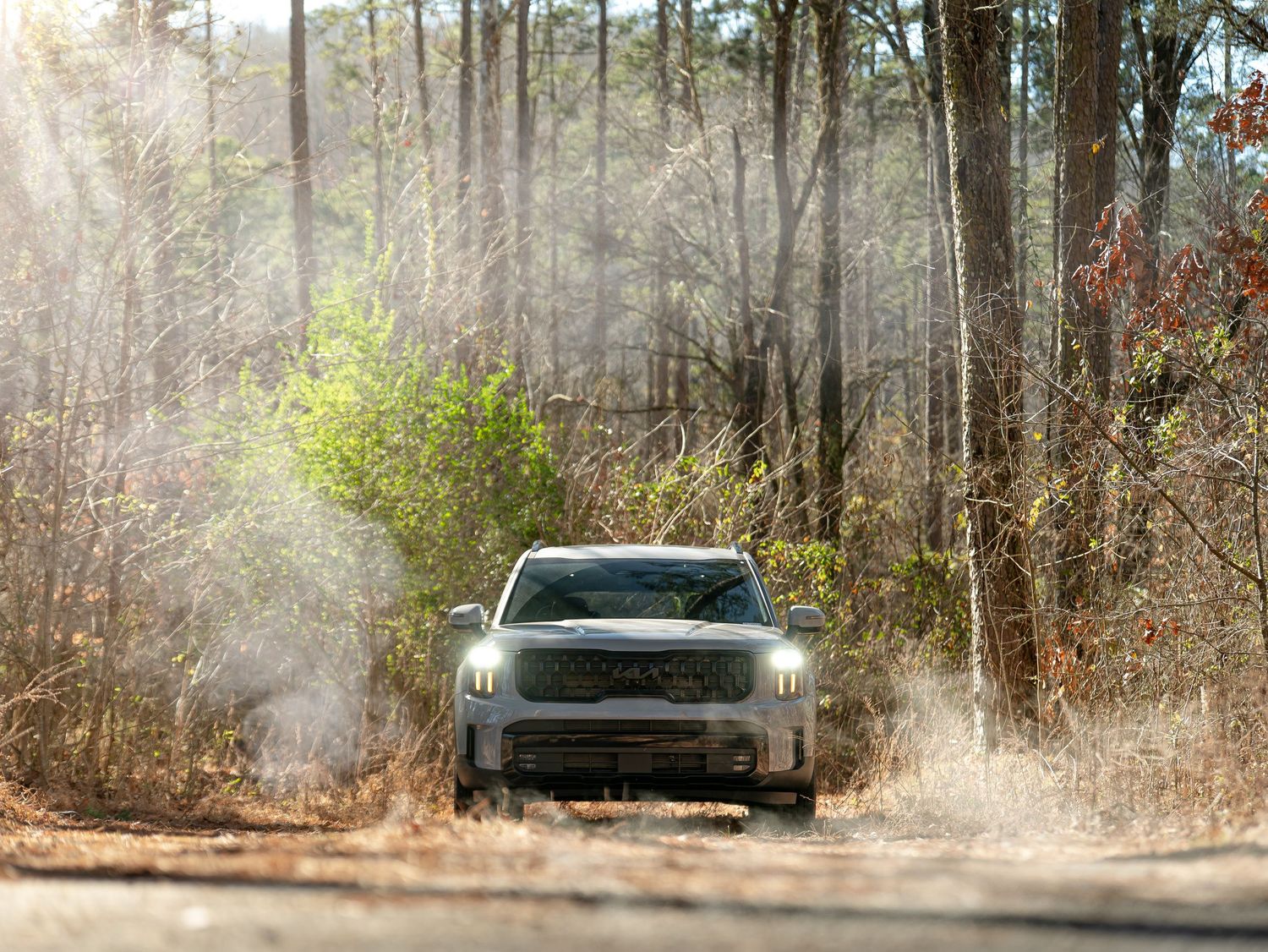 A silver truck drives down a dusty forest trail surrounded by tall pine trees and sunlight rays.