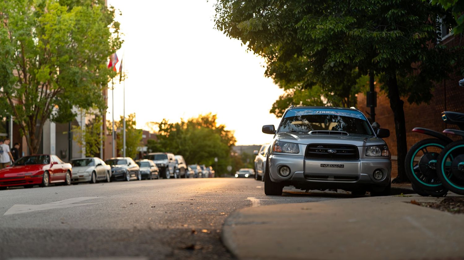 Panoramic view of tree-lined street with parked cars during evening hours.