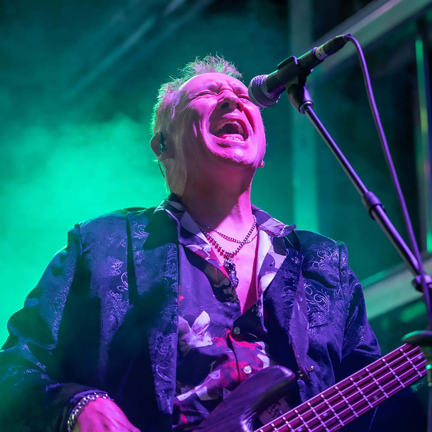 Bass player performing under vibrant teal and purple stage lights during concert.