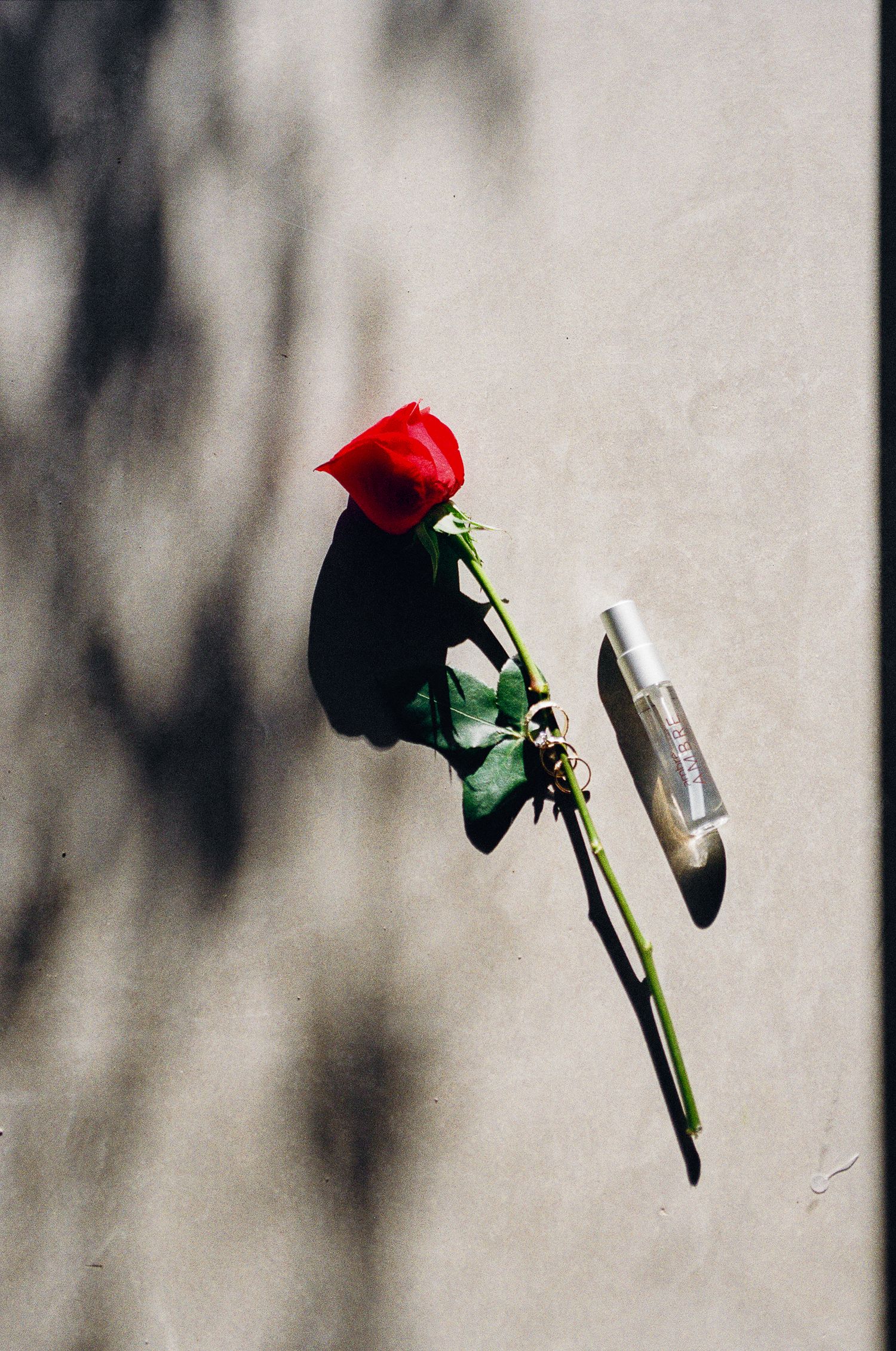 A single red rose and small perfume bottle casting shadows on a gray wall in bright sunlight during elopement in Todos Santos.
