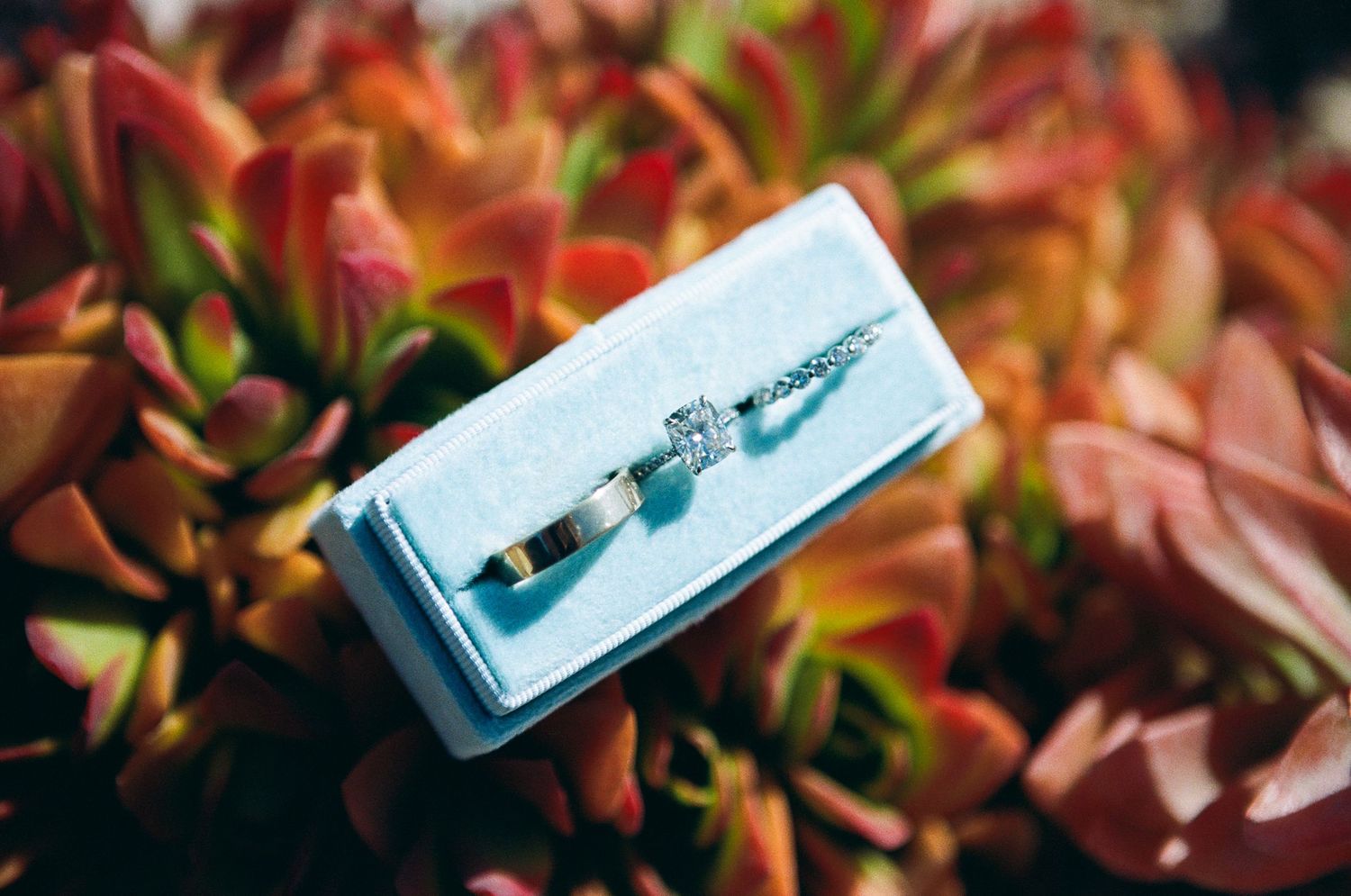 Detail photo of wedding rings in blue box on orange succulent plant at Amara Los Cabos.