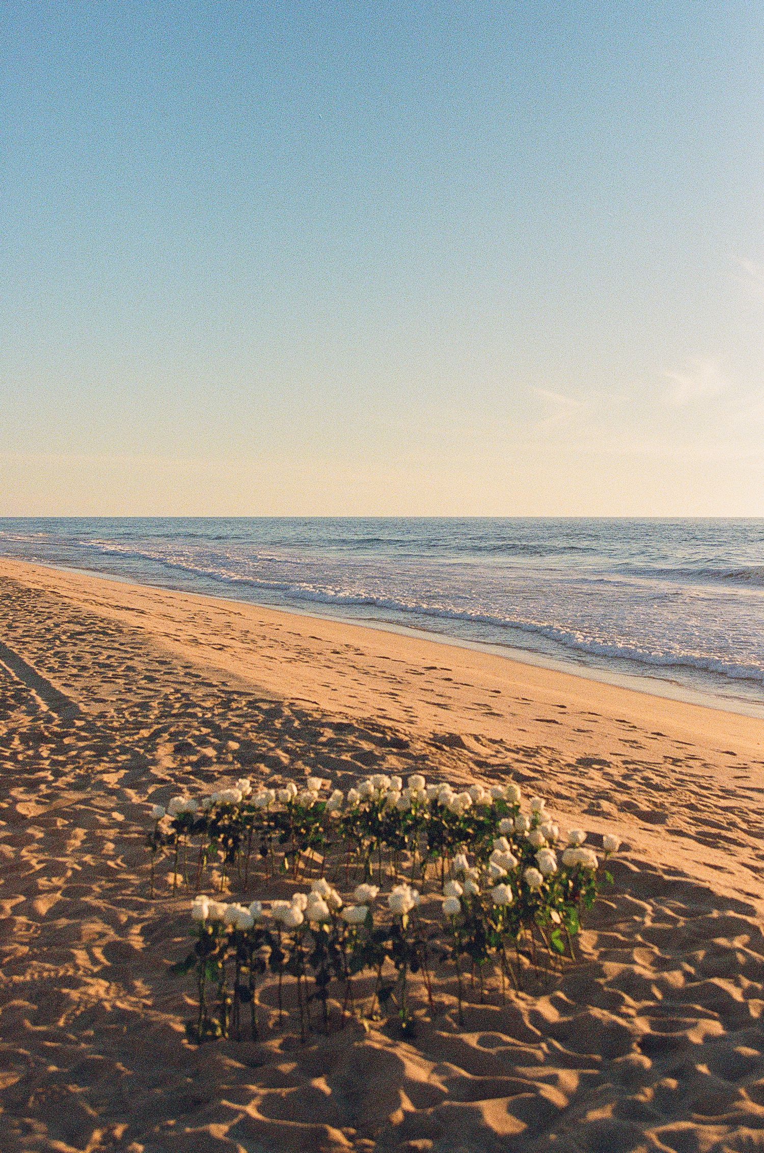 Arched floral arrangement with white roses on a beach at golden hour with calm ocean waves in the background near Todos Santos, Mexico.