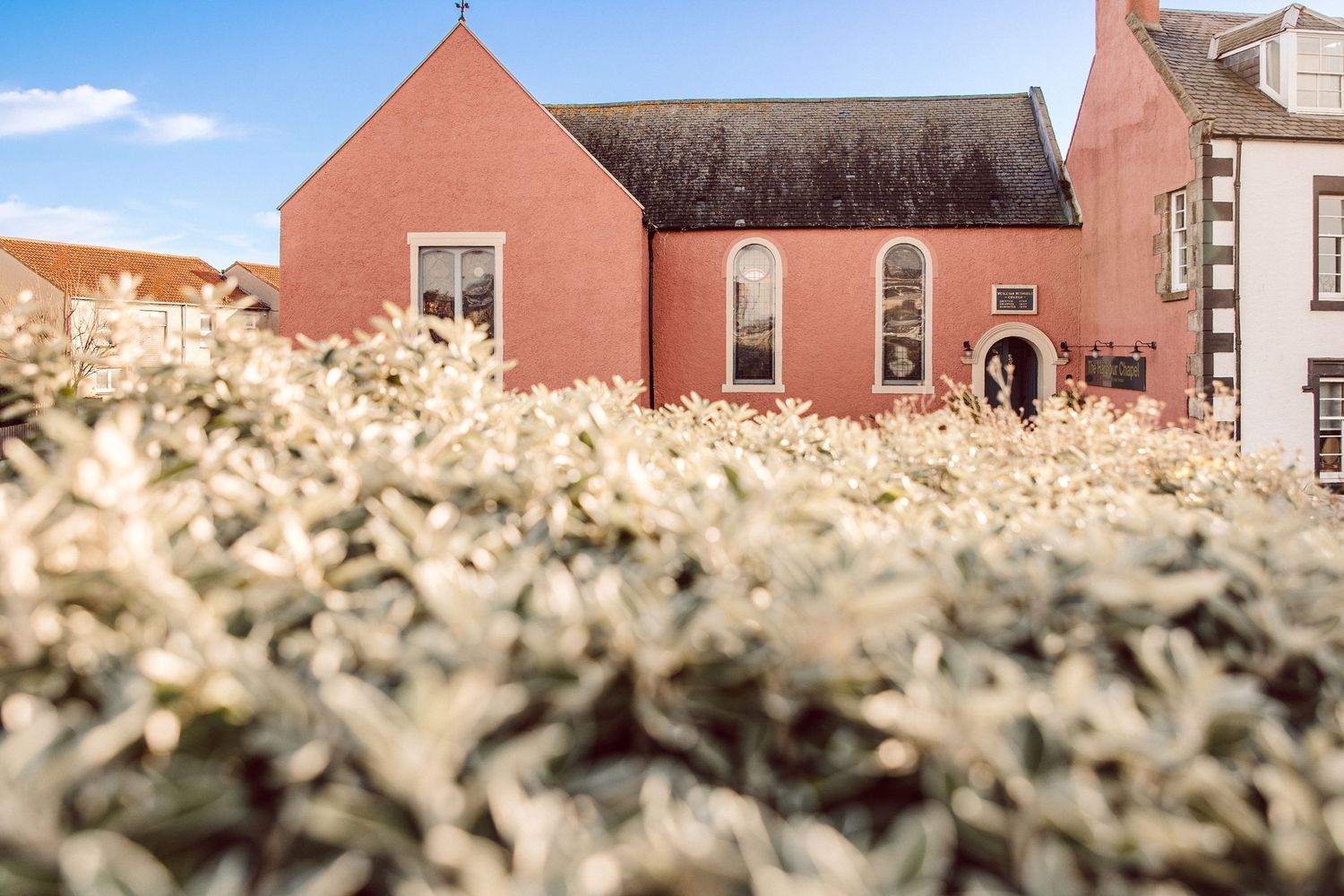 Rows of white cherry blossom trees bloom in front of red brick buildings on a sunny spring day.