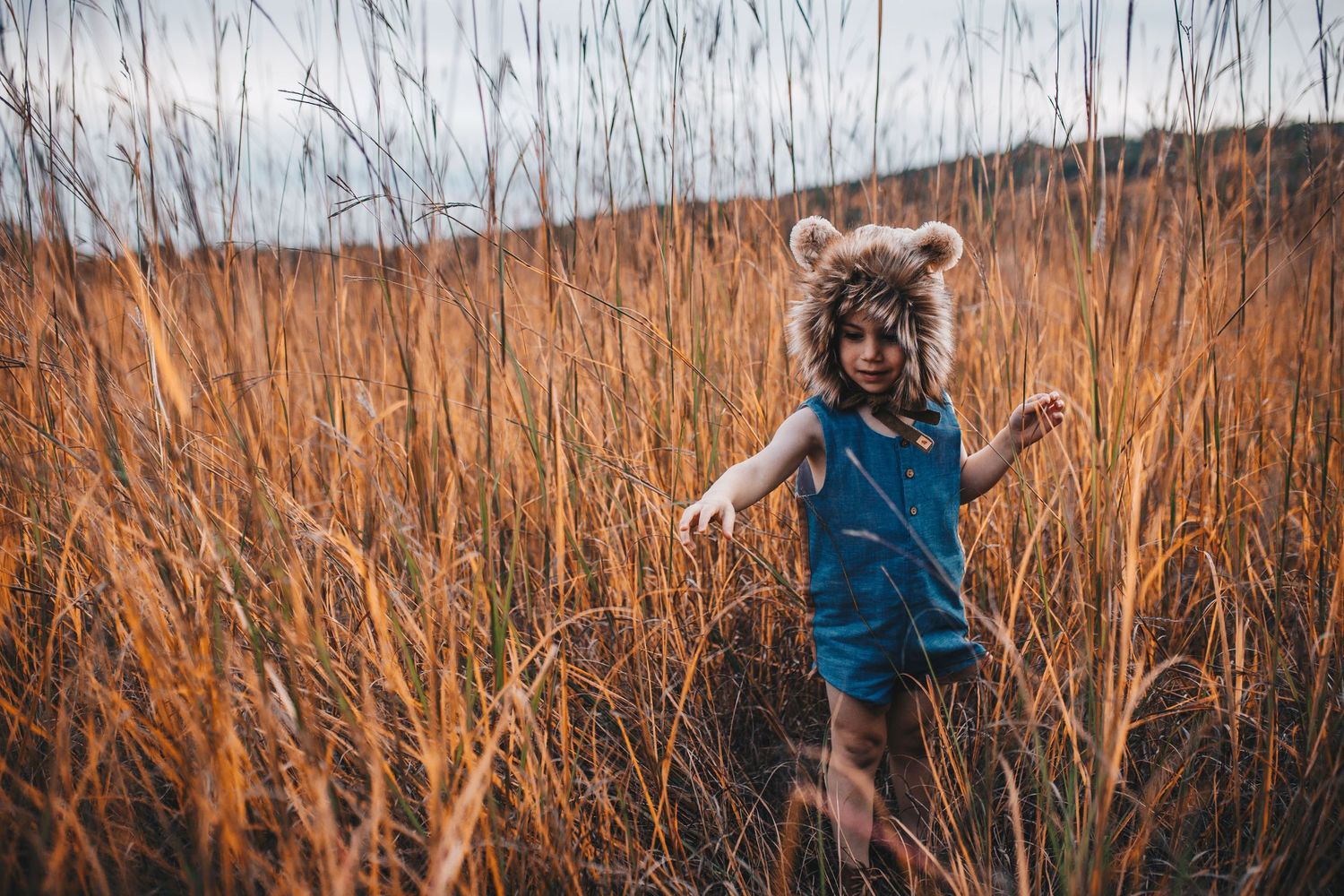 A young child wearing a bear hat and blue overalls stands in a field of tall golden grass.