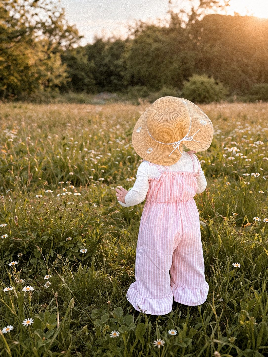 Toddler in pink overalls and straw hat standing in daisy field at sunset.