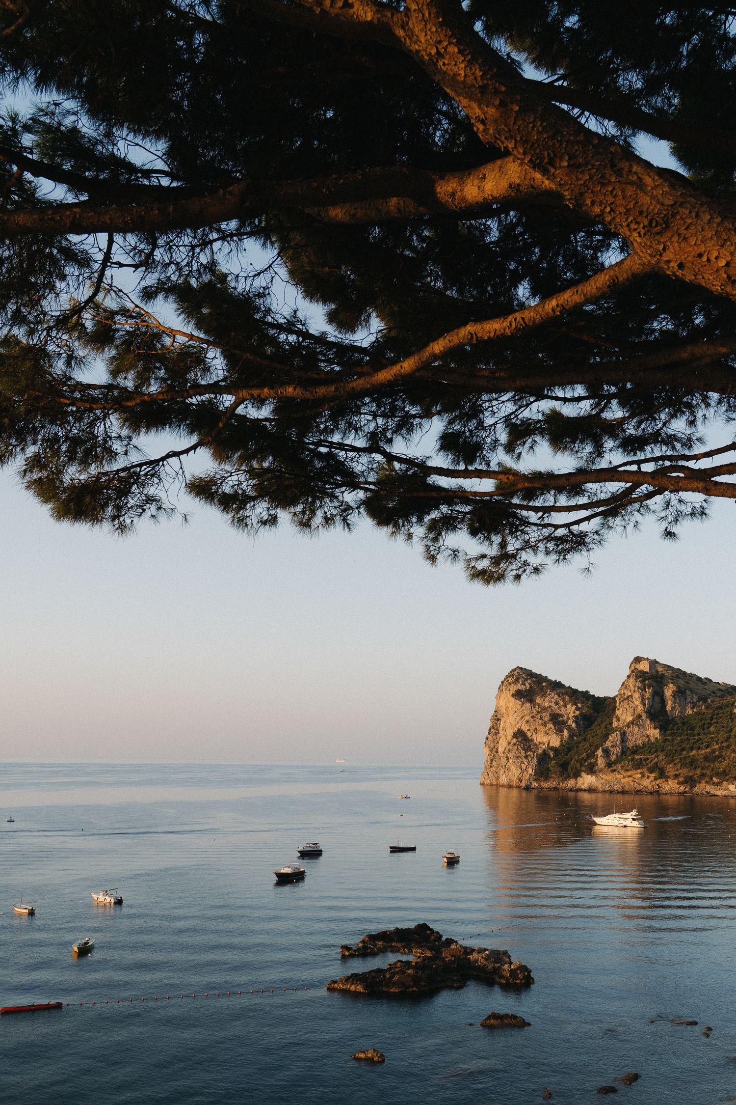 Serene coastal view framed by pine tree branches, with calm blue water, small boats, and a rocky cliff at golden hour.