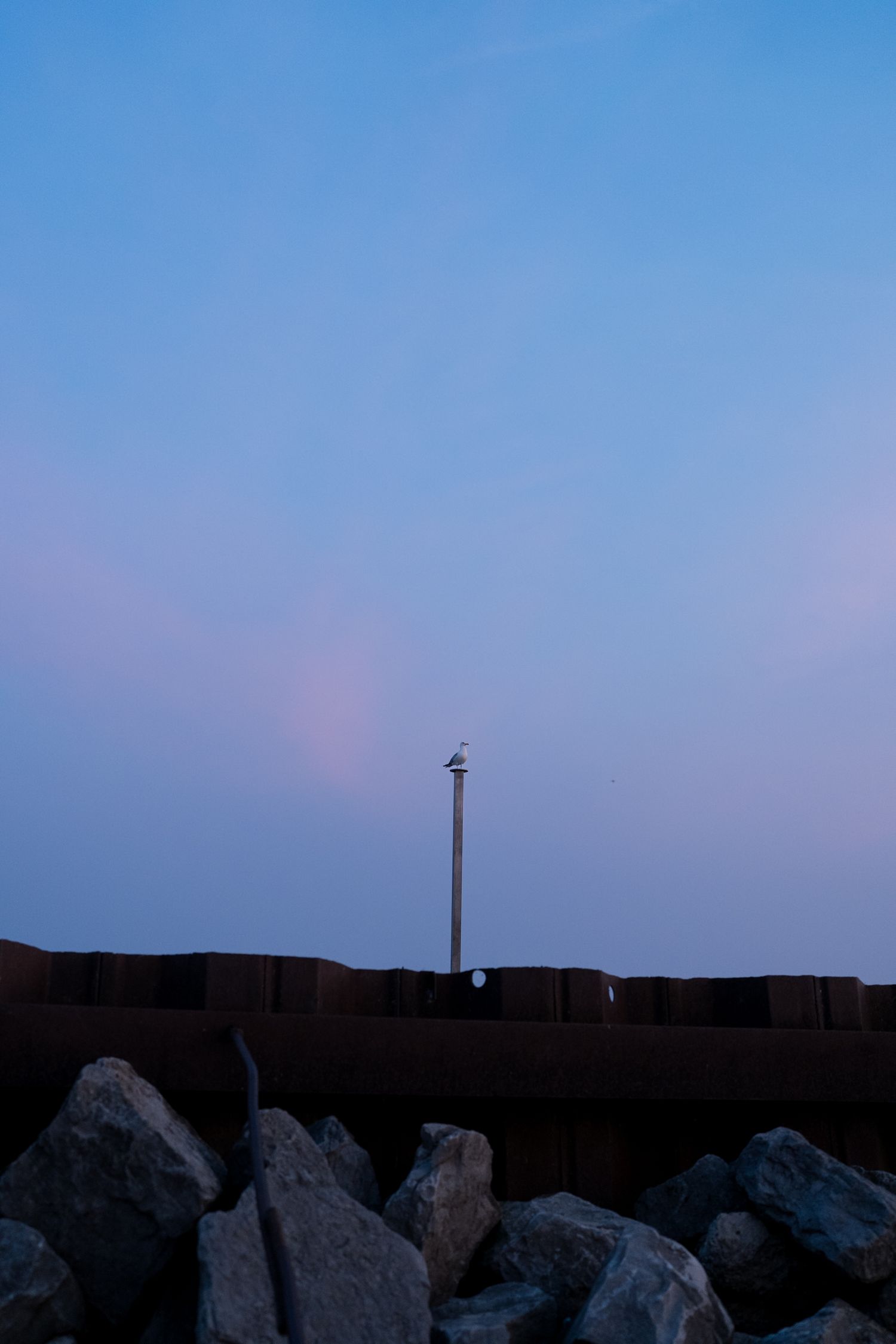 Rocky shoreline at dusk with a tall pole and bird silhouetted against a blue-pink twilight sky.