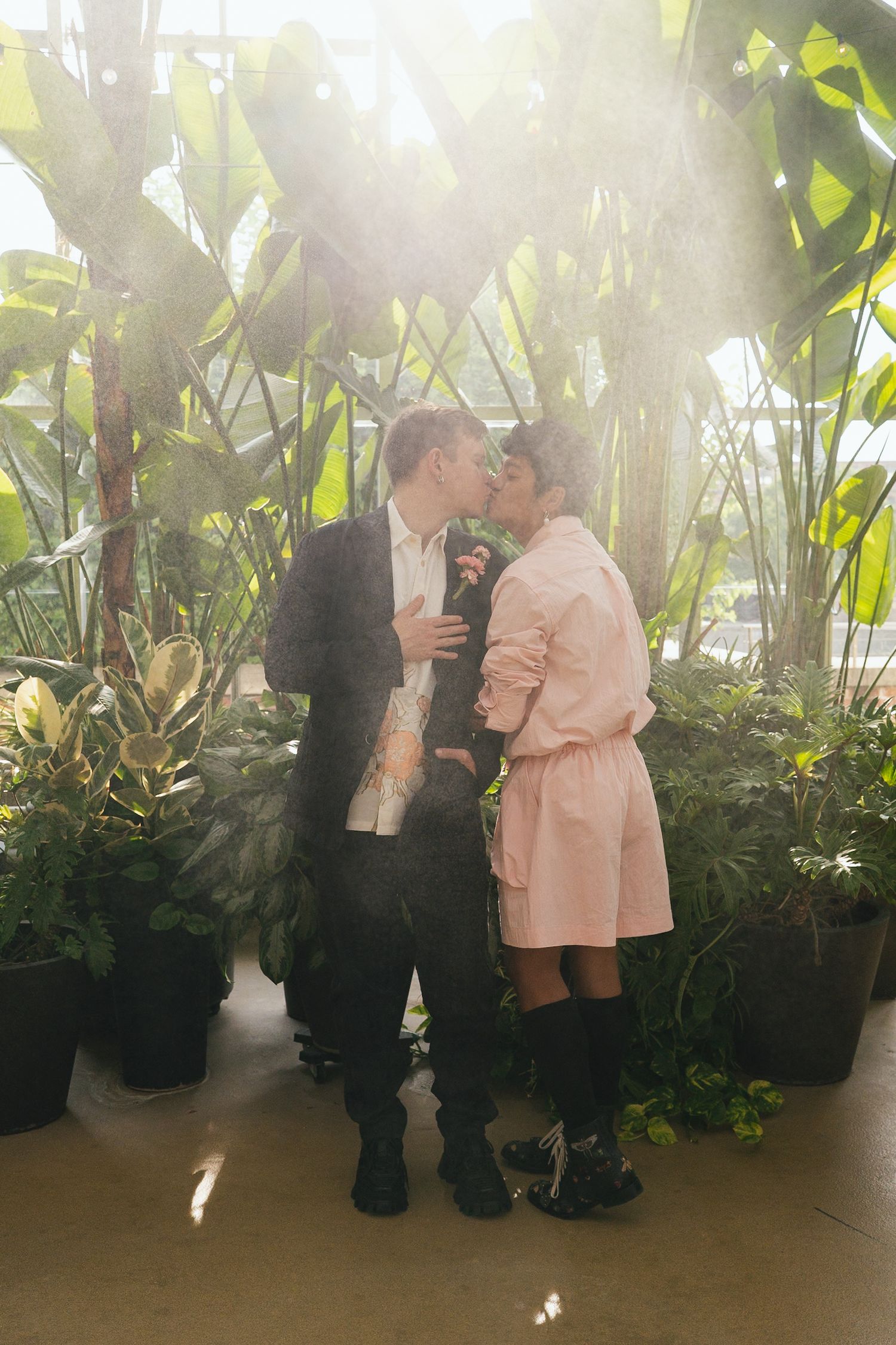 A couple shares a romantic kiss surrounded by tropical plants in a sunlit greenhouse.