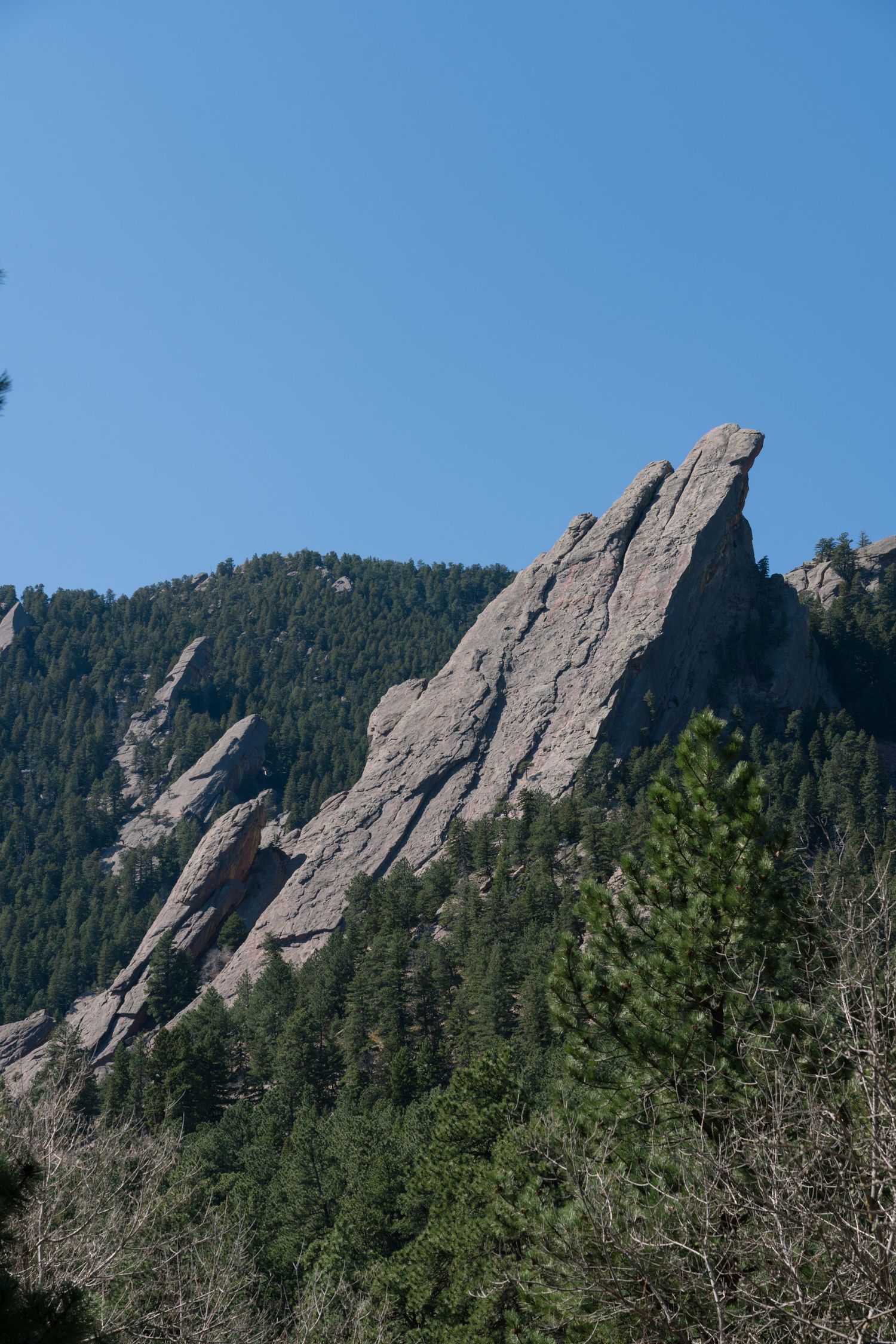 Dramatic rocky Flatiron formations rise above dense pine forest under a clear blue Colorado sky.