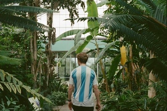 Man in striped shirt walking through a lush tropical greenhouse garden.