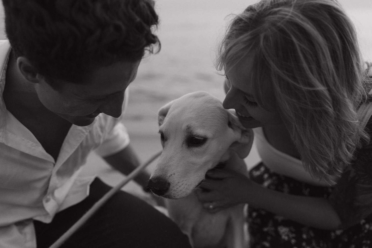 A black and white photo of a couple leaning in close to nuzzle a white Labrador dog near the water.