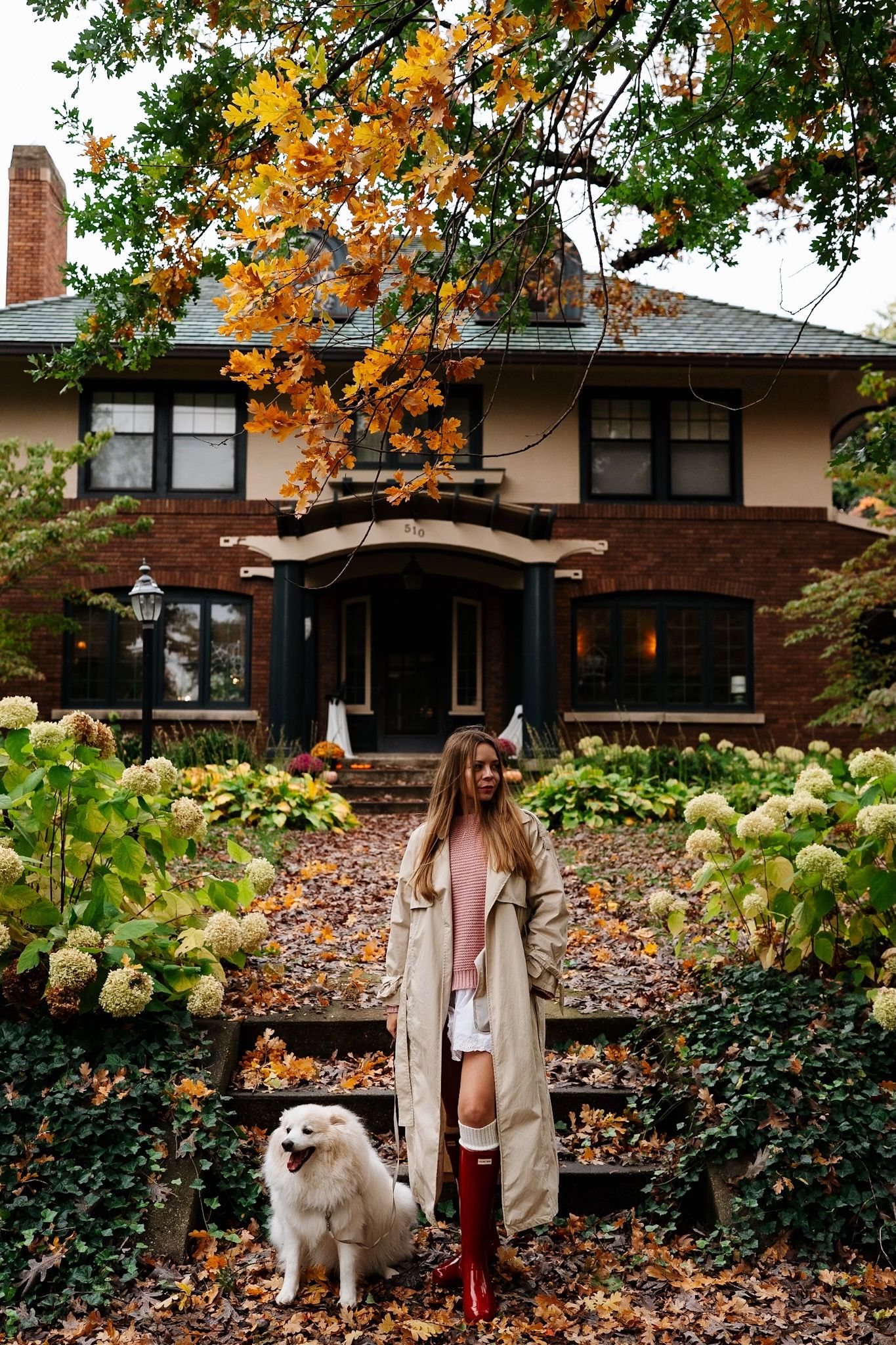 Woman embracing her dog beneath autumn trees in Heritage Hill, Grand Rapids.