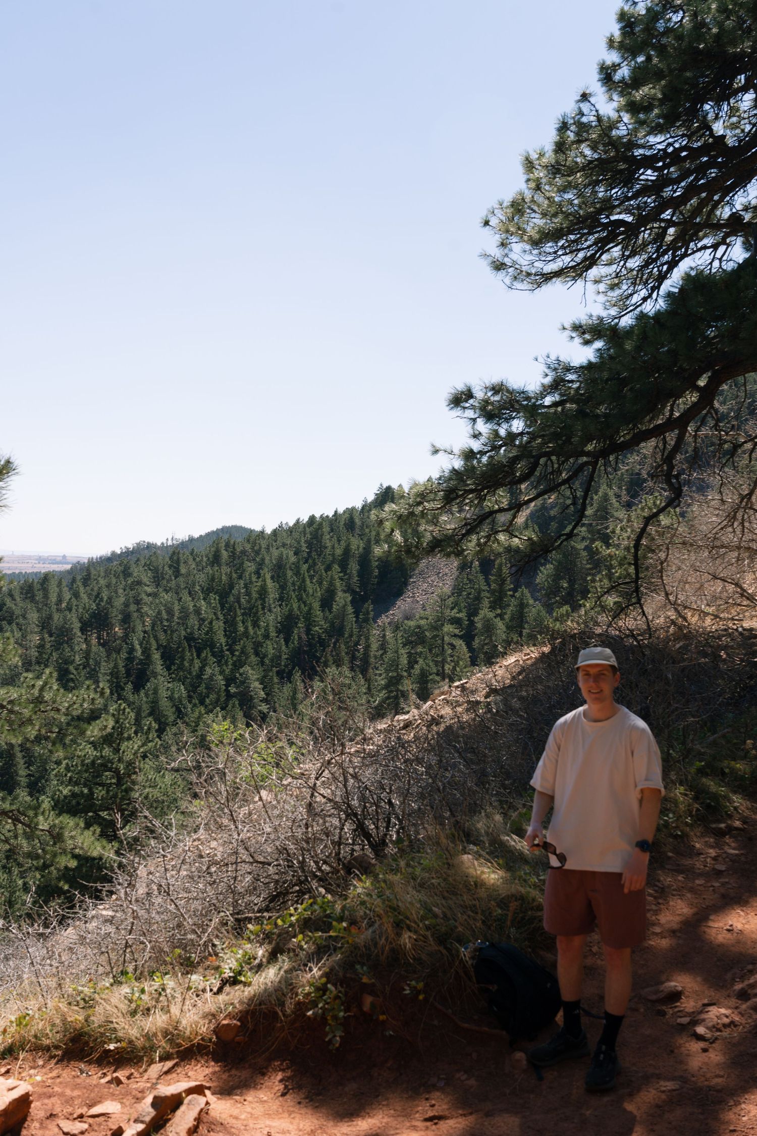 A hiker with a small black dog stands on a red dirt trail overlooking a forested mountain valley.