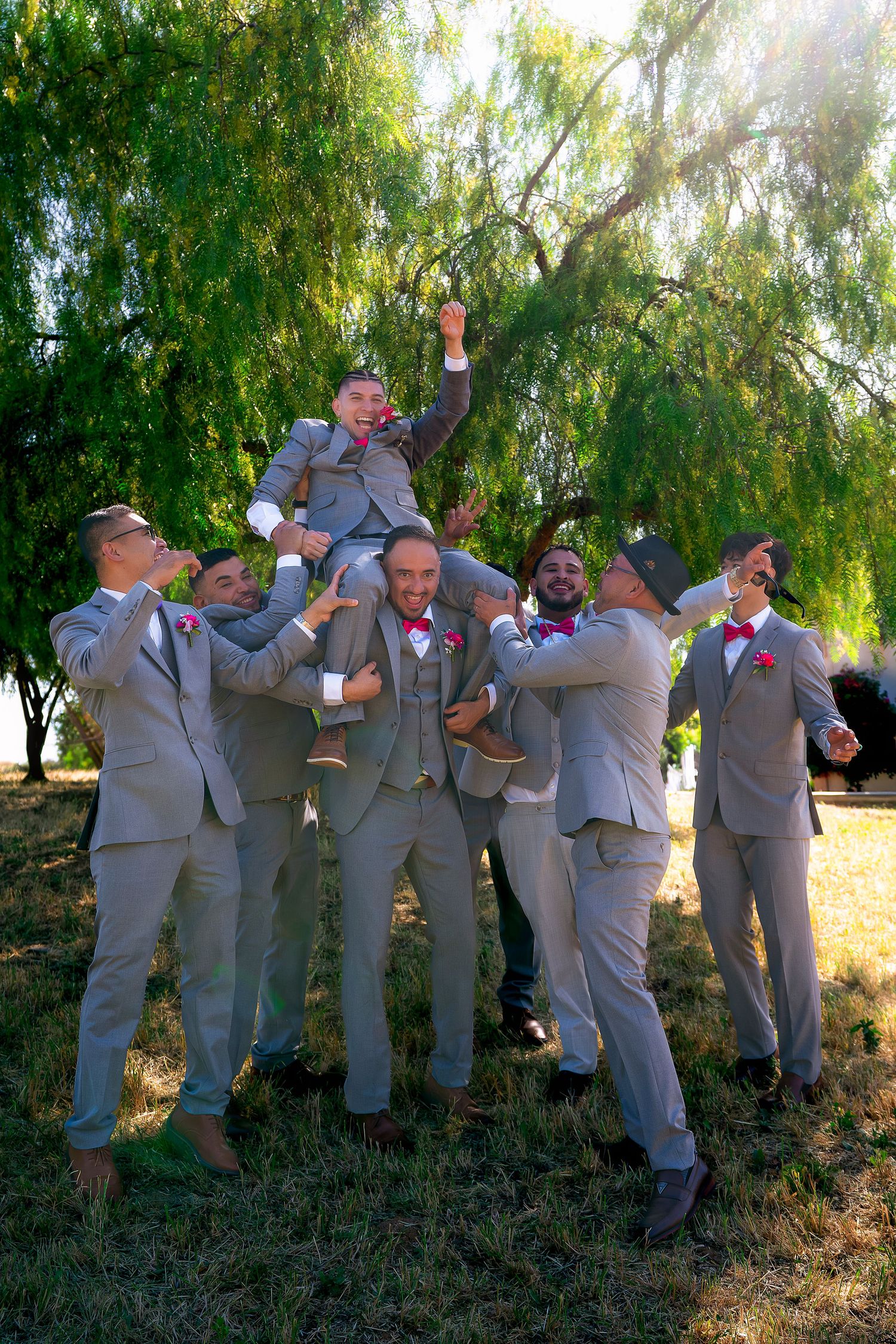 Groomsmen in gray suits lifting groom in celebration under willow tree outdoors.