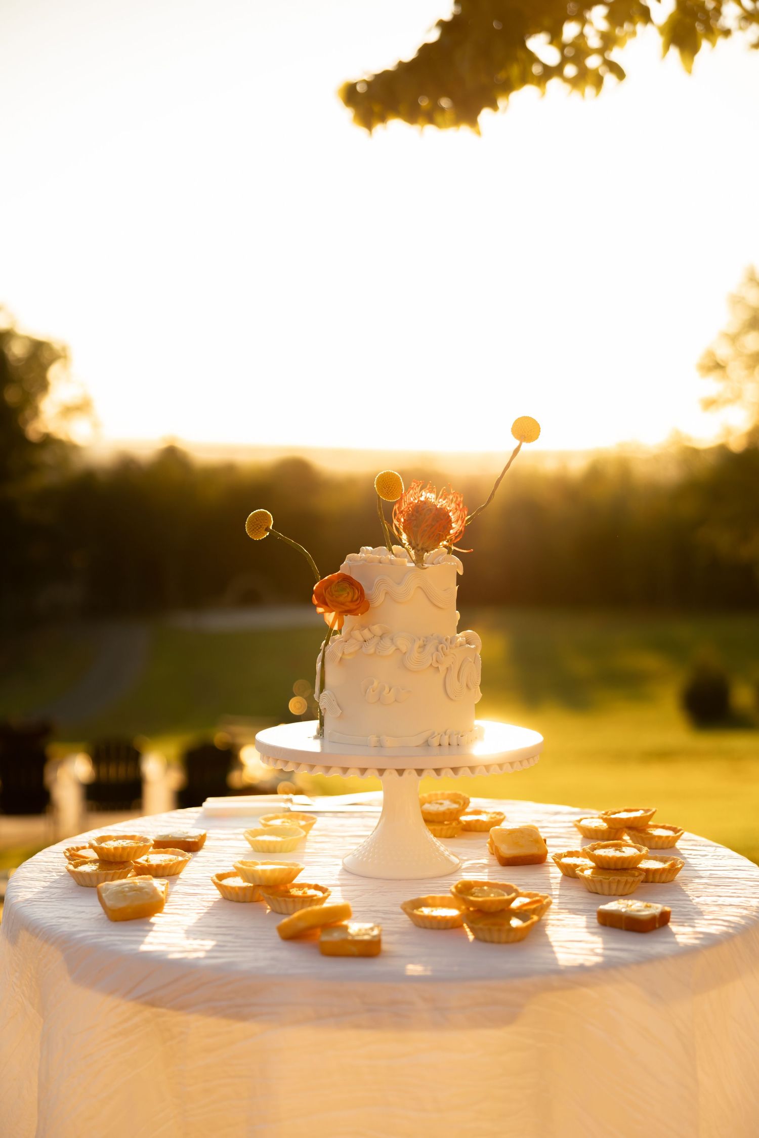 Wedding cake taken by Rock Hill Wedding Photographer