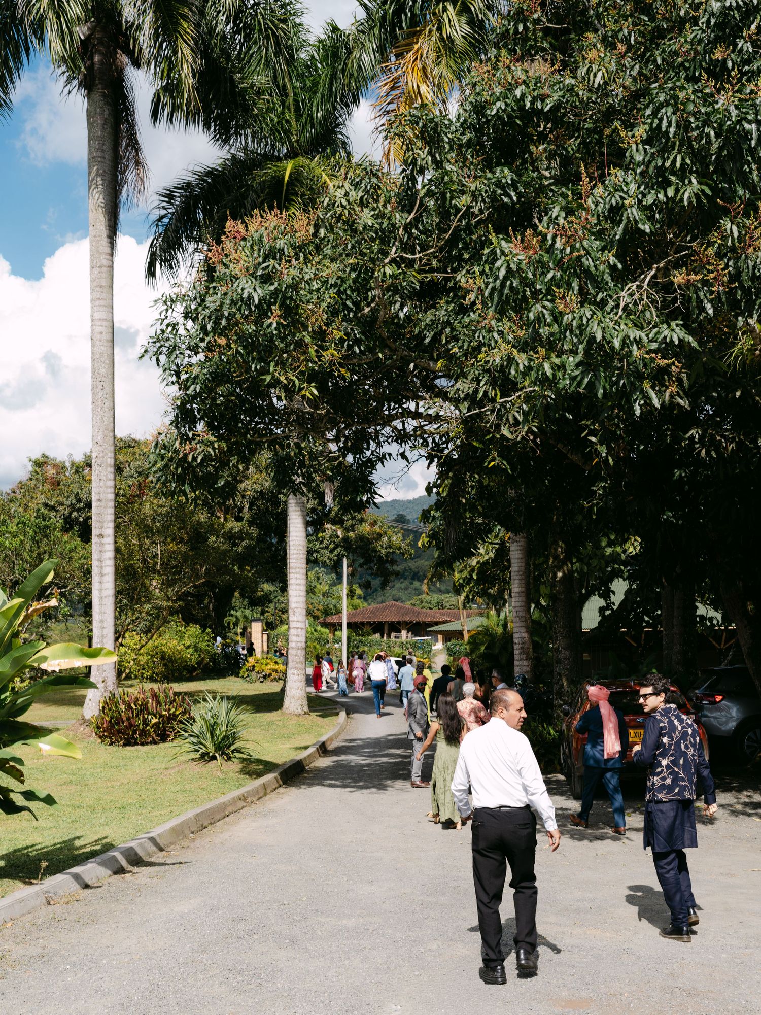 Guests walking along a tropical palm-lined pathway at an outdoor wedding venue.