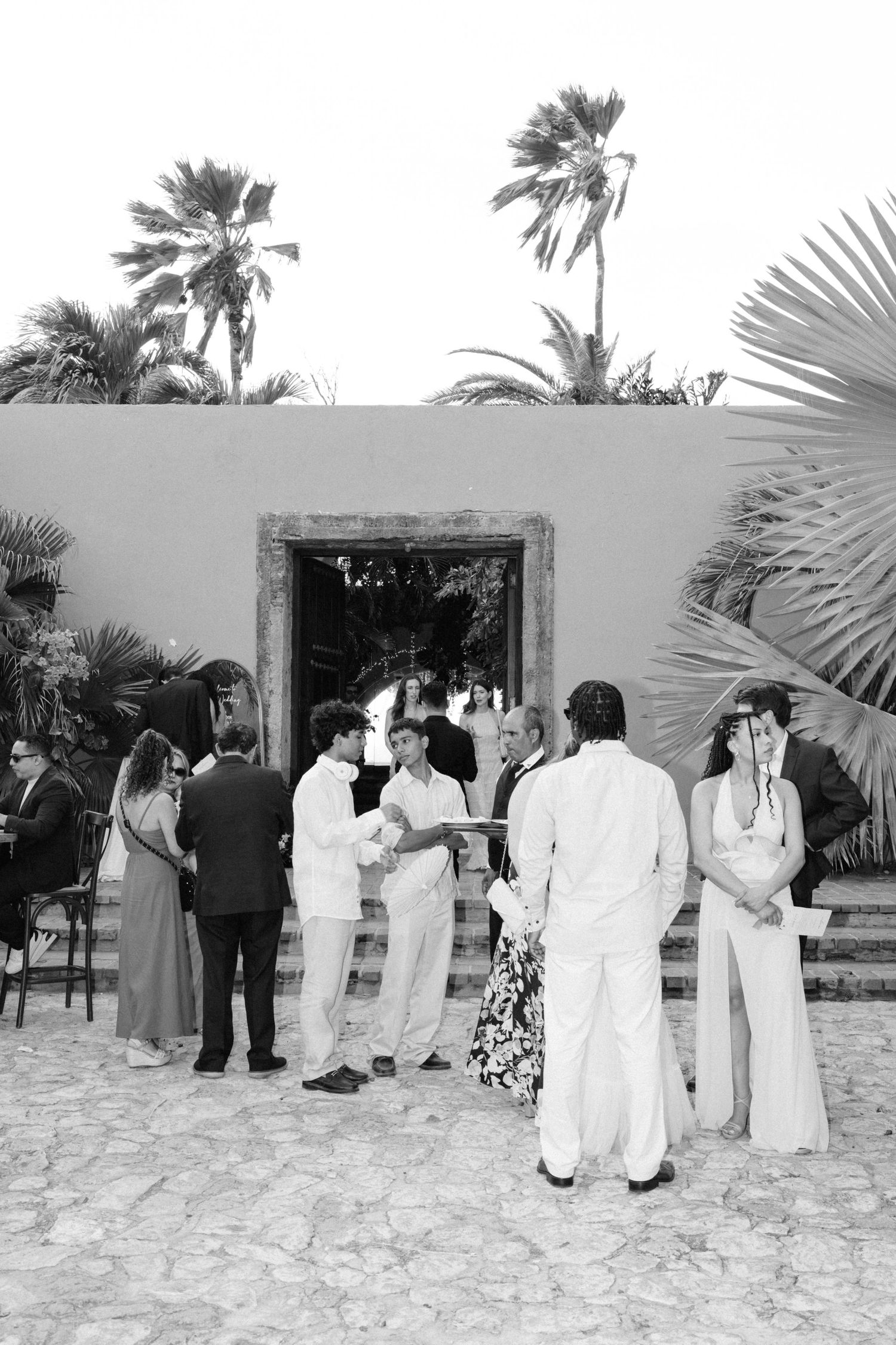 Black and white photo of wedding guests mingling outside a venue surrounded by palm trees.