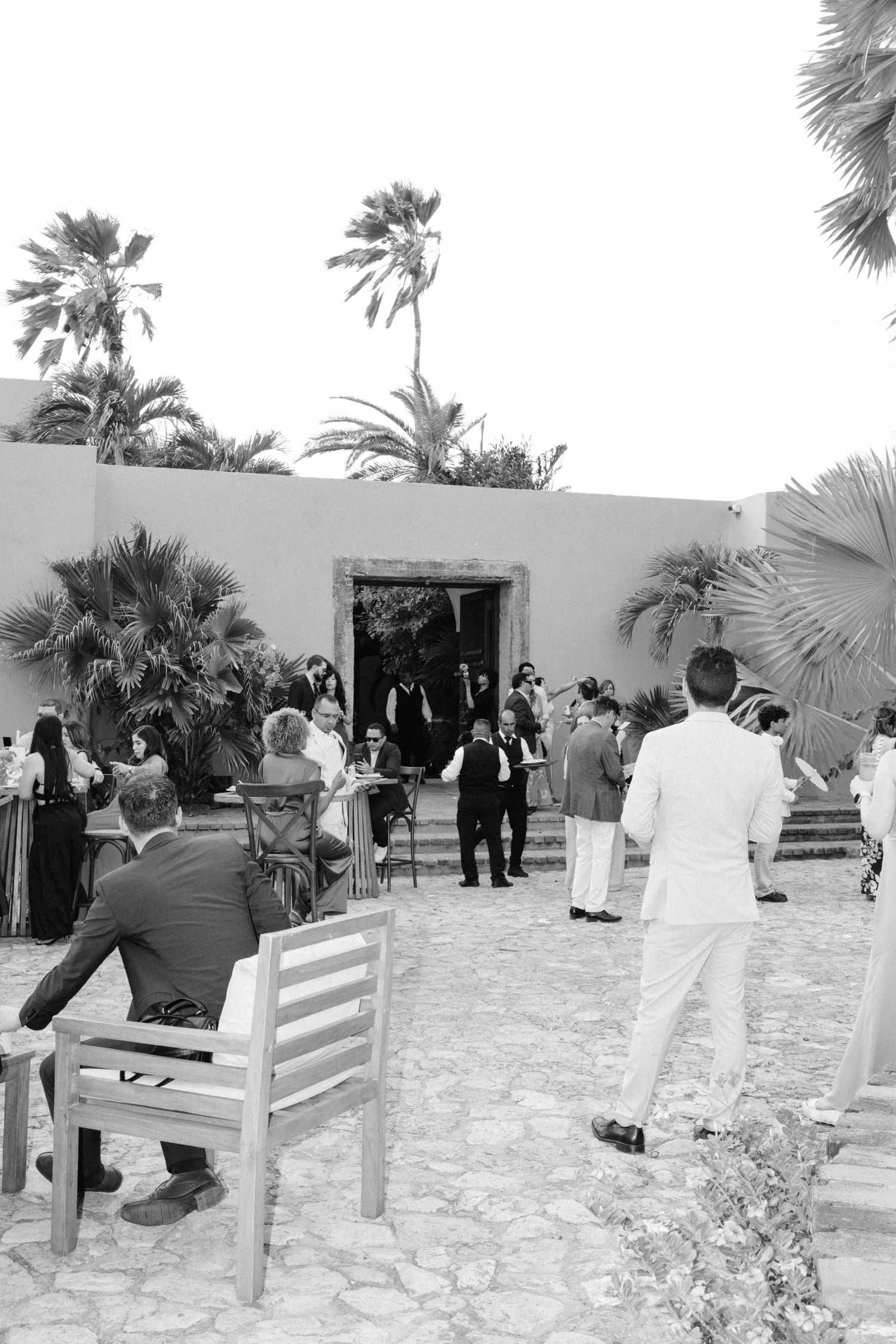 Black and white photo of outdoor wedding guests gathered on stone patio with tall palm trees.