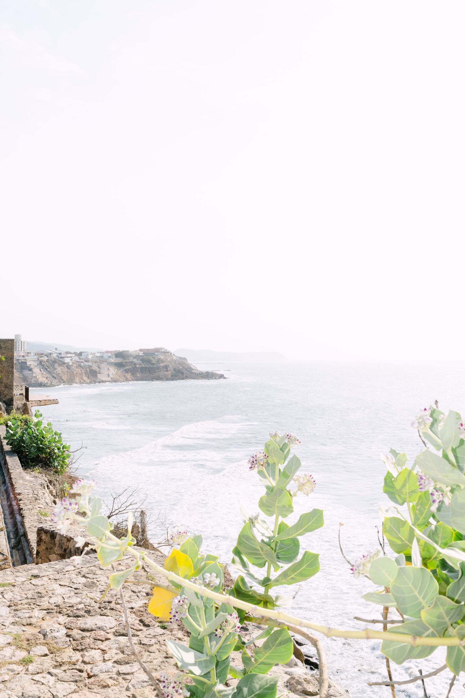 Scenic coastal cliffside view with green plants and ocean waves under a hazy sky.