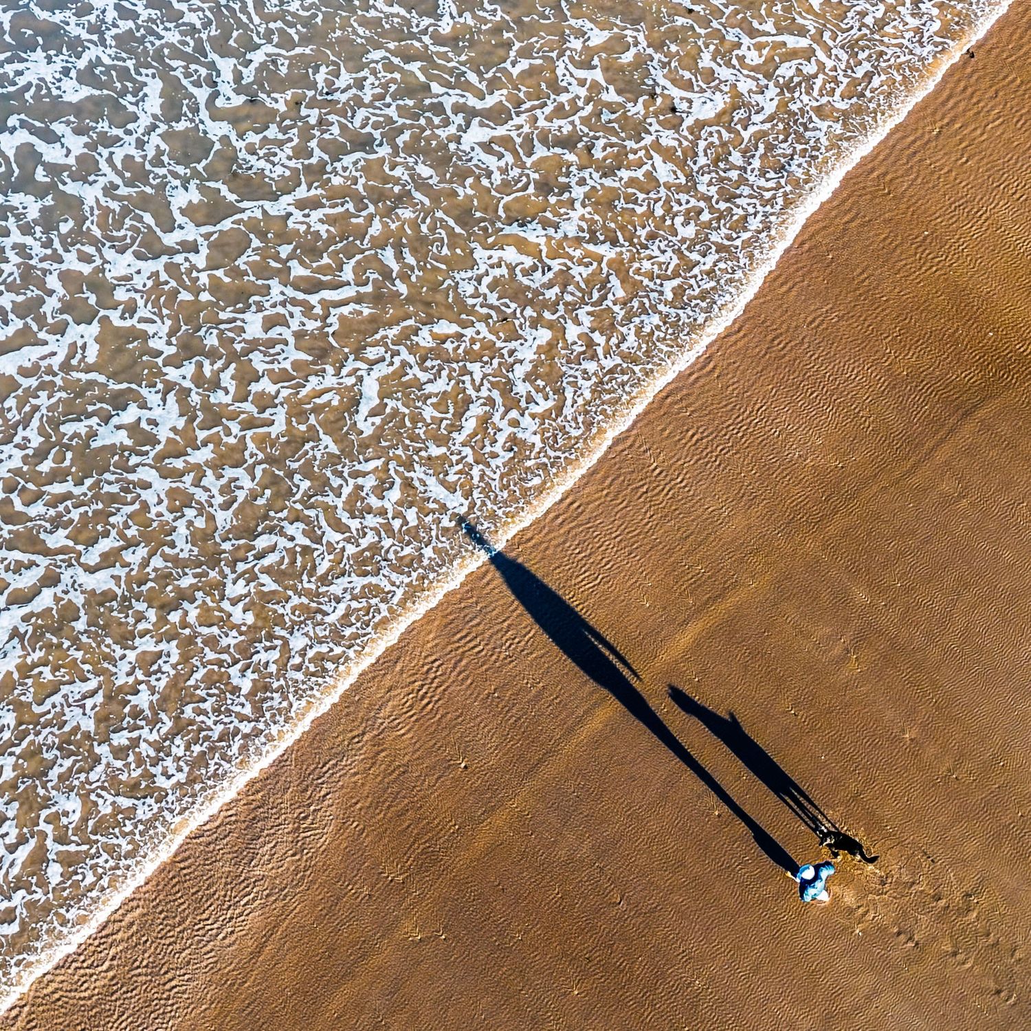 Drone photograph of a dog walker on Belhaven beach, East Lothian, Scotland.