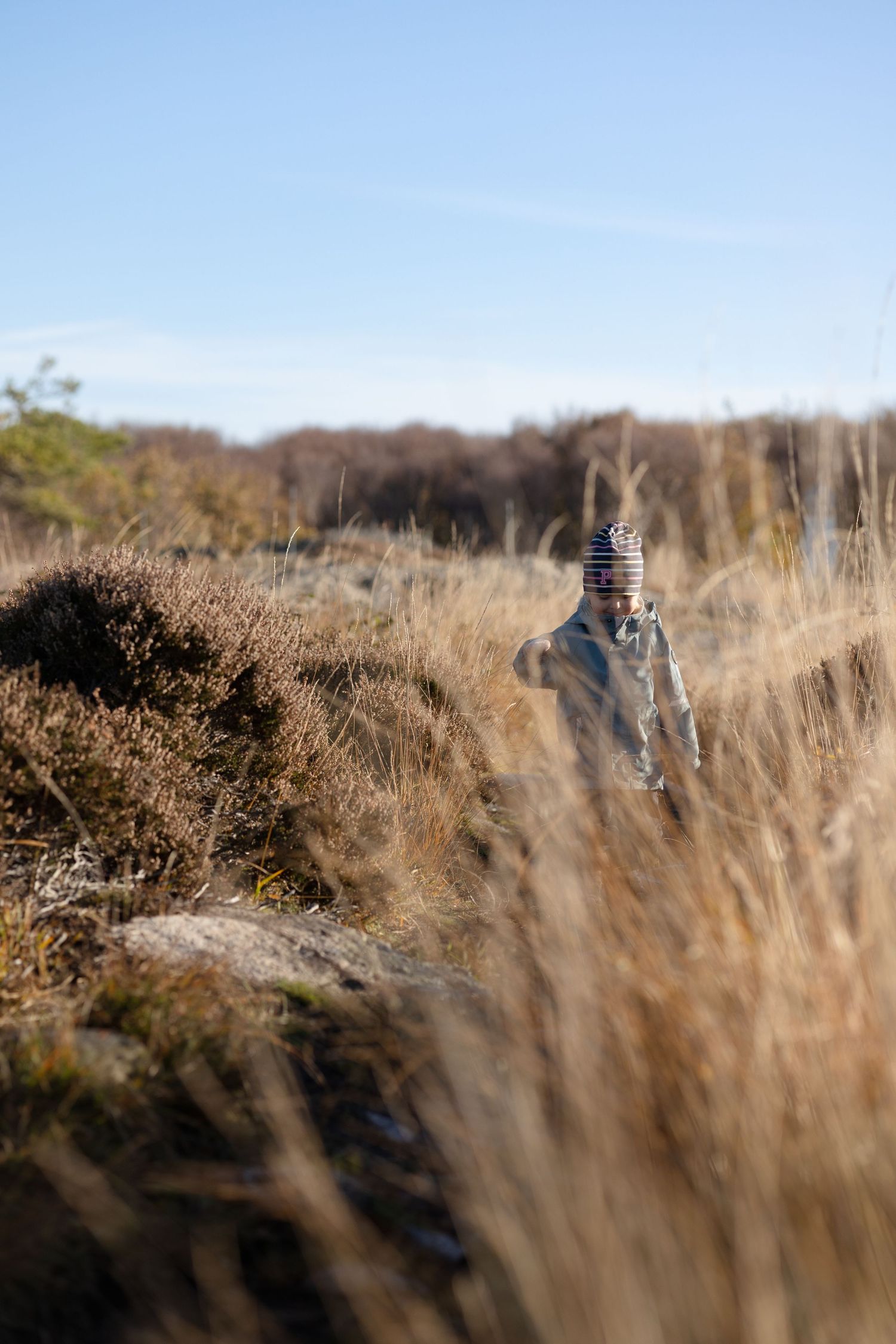 Child in a striped beanie and jacket stands among golden grass and heather on a sunny moorland under a clear blue sky.