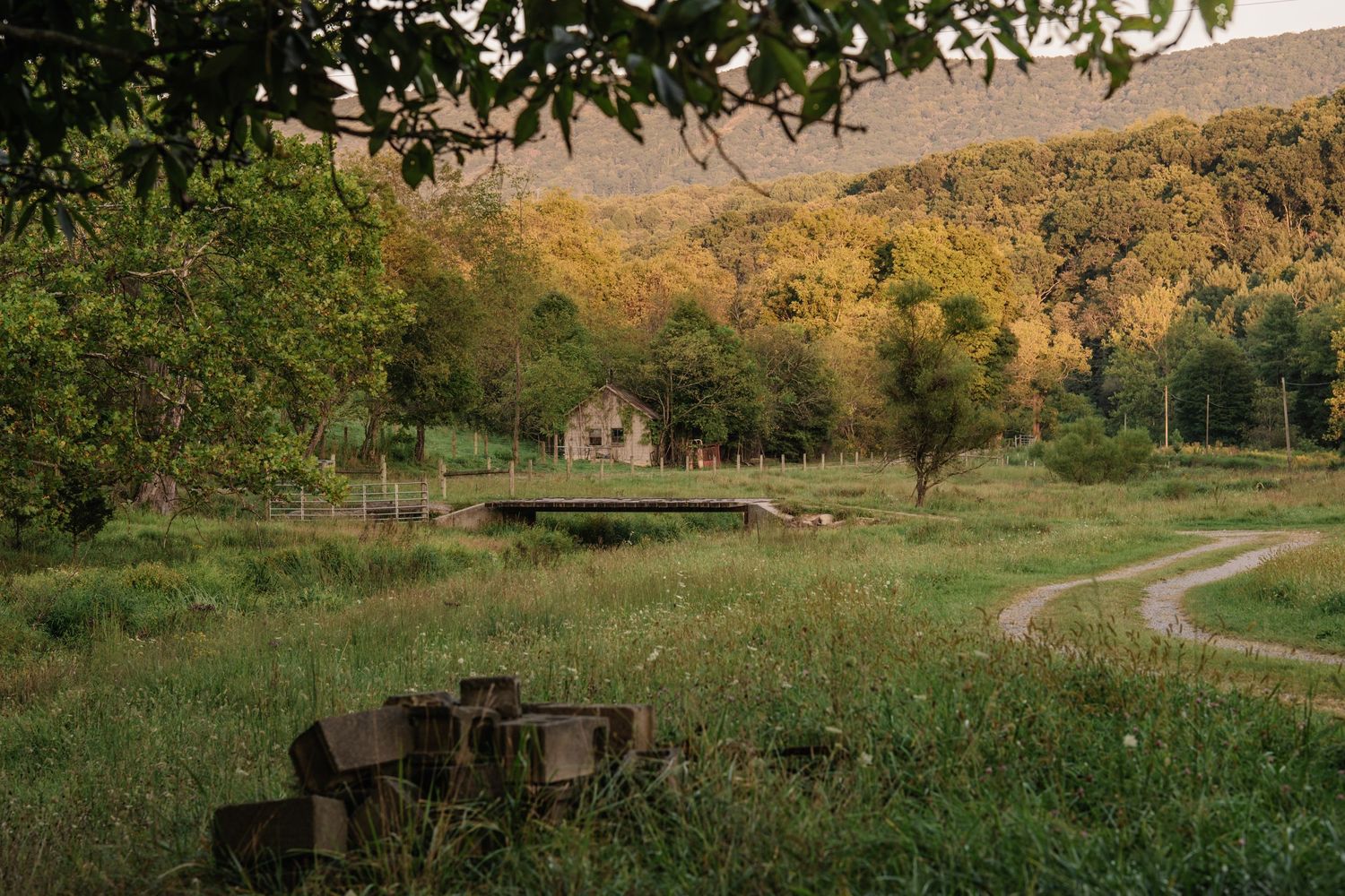 Rural farmhouse nestled in a lush green valley surrounded by forested hills at golden hour.