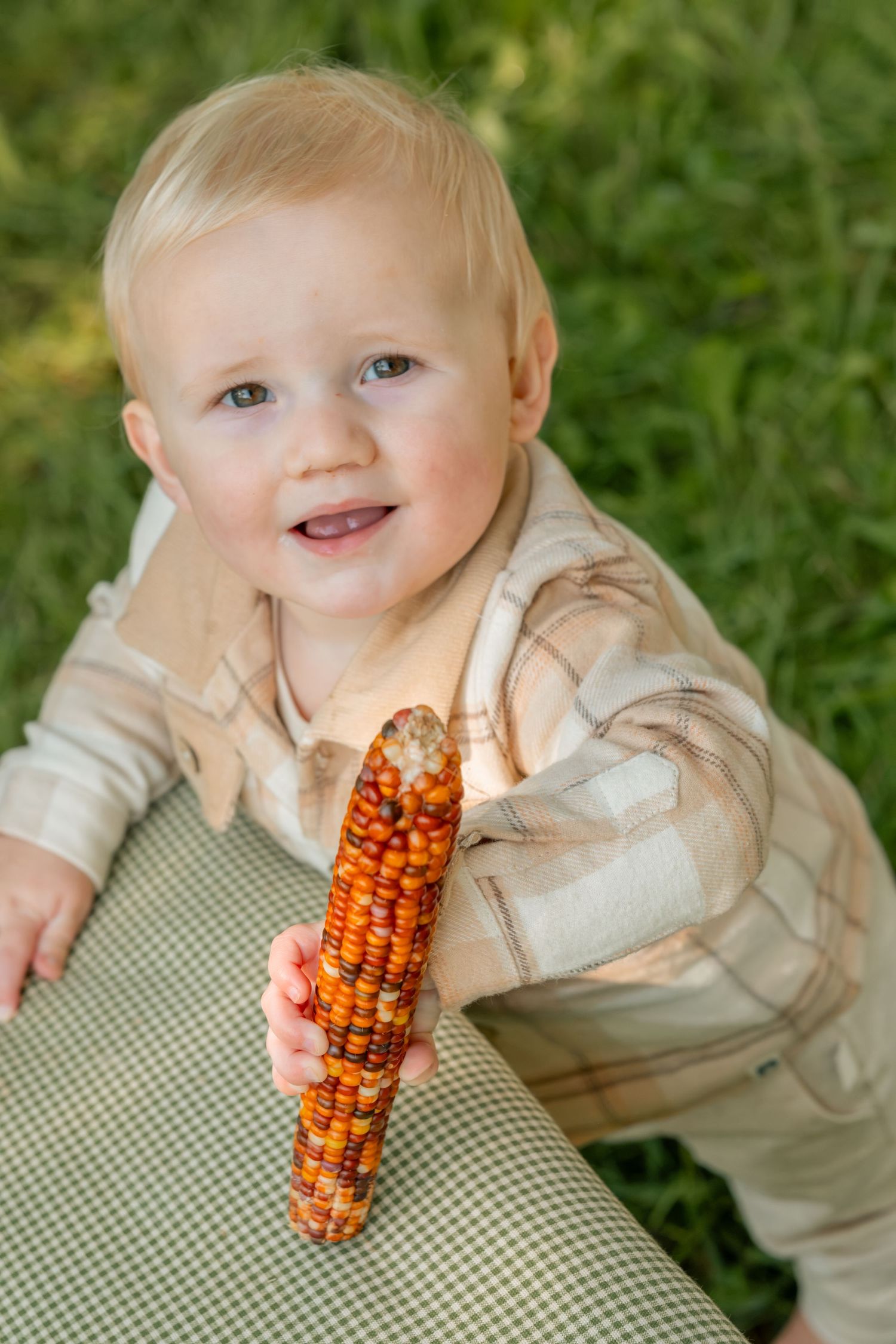 Smiling blonde toddler holding colorful Indian corn outdoors on a green checkered blanket with grass background.