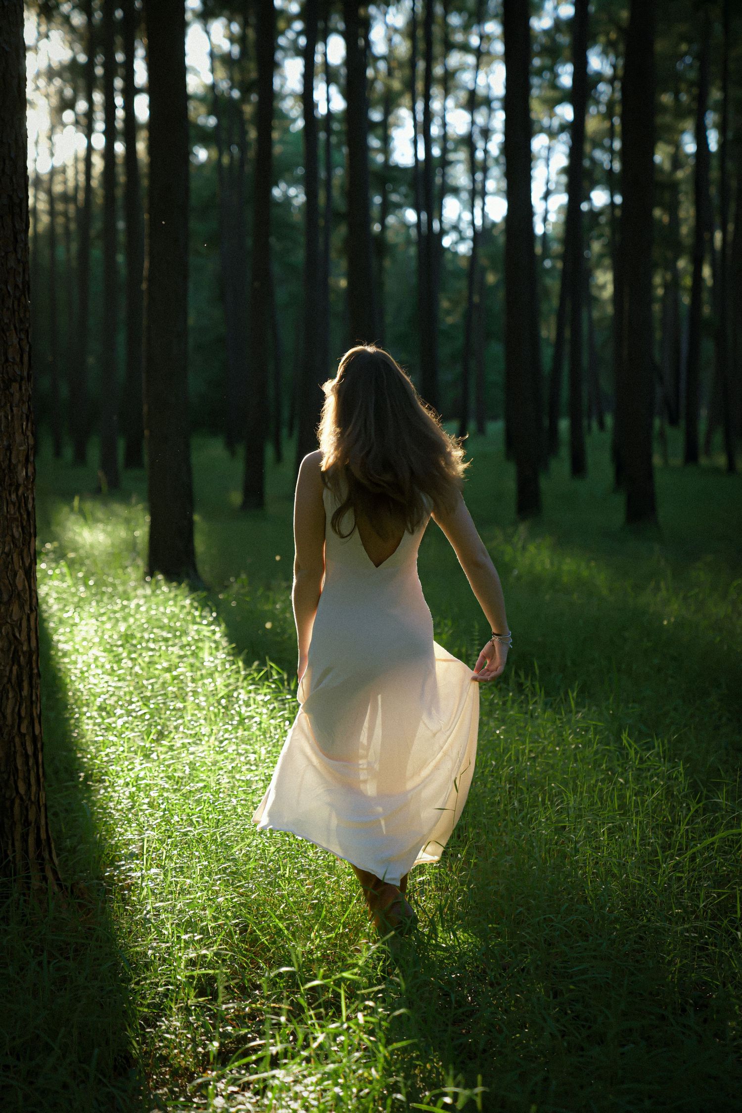 Someone in a white dress walking through a sunlit forest path surrounded by pine trees.