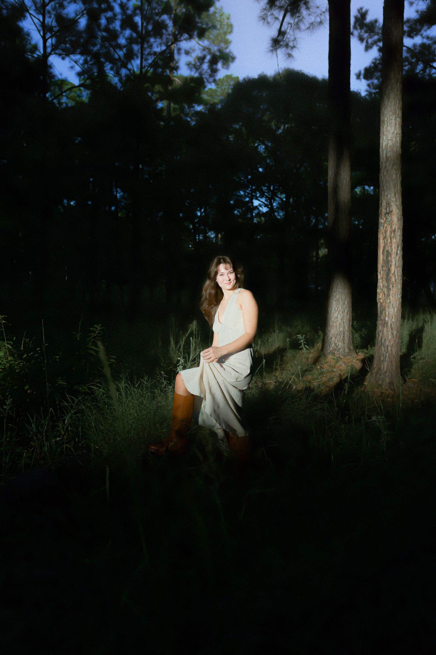 Atmospheric forest photography with dramatic spotlight effect among dark trees.