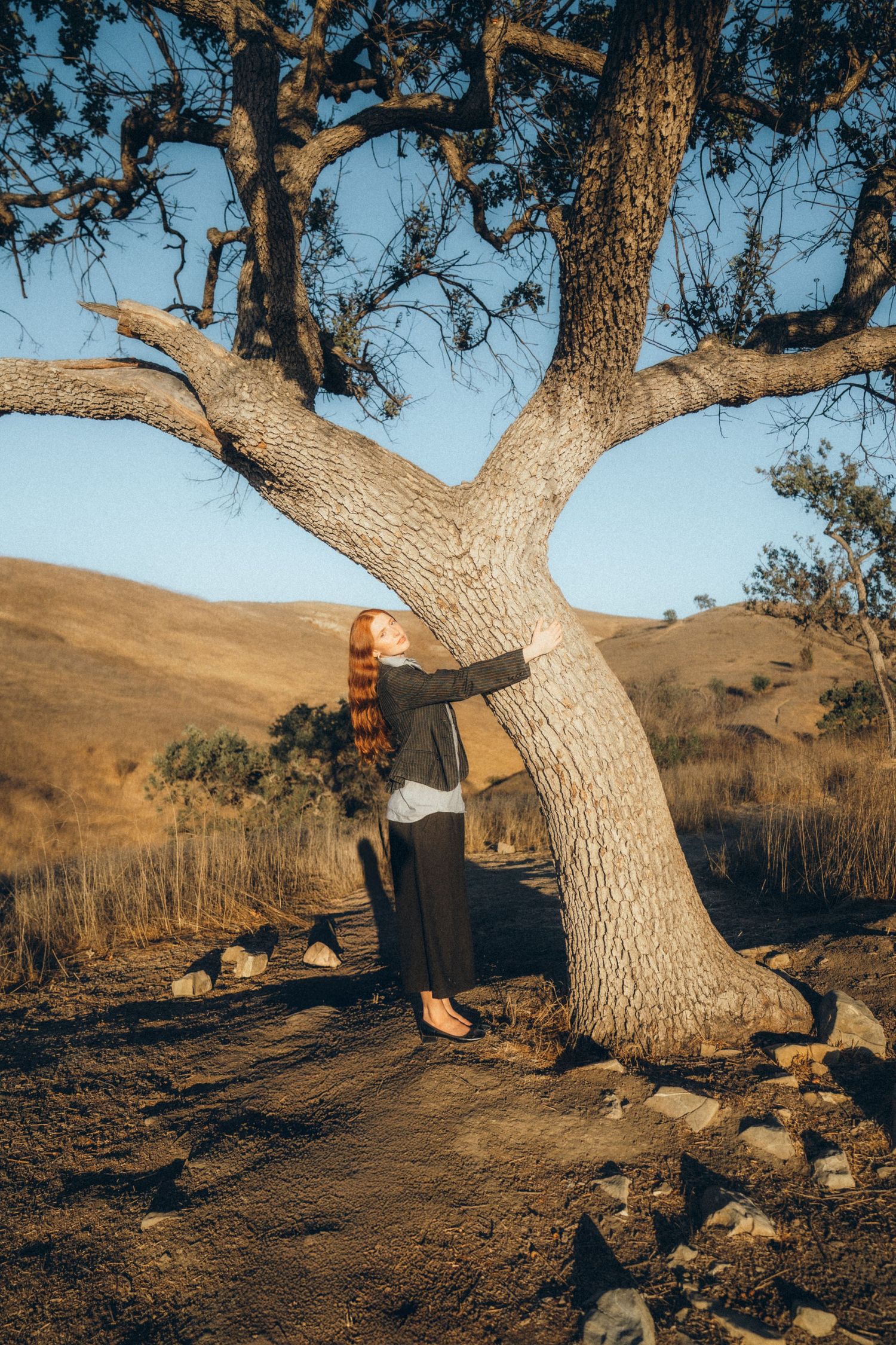 Three sequential shots of a tree trunk being cut down in a hilly landscape during golden hour lighting.