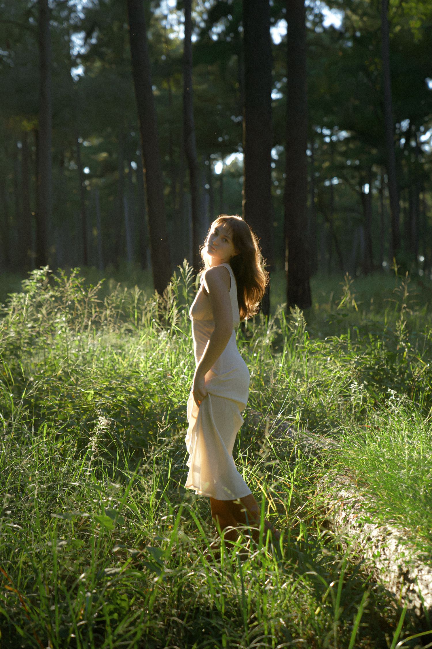 A white dress illuminates a forest scene as sunlight filters through tall pine trees.