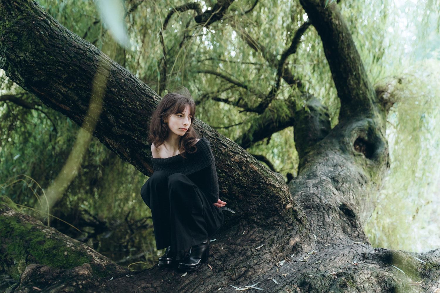 A figure in a black dress sits on a twisted tree trunk in a misty green forest setting.