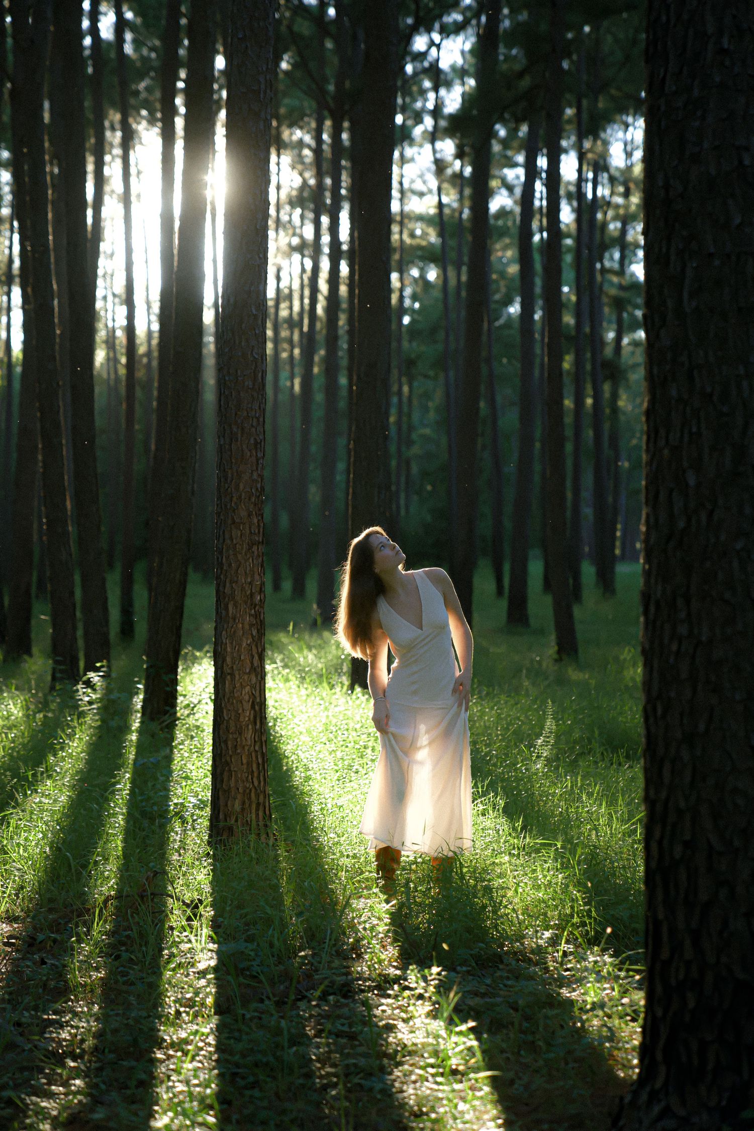 Ethereal scene of a white-dressed figure standing in sunlit forest with long shadows cast between tall pine trees.