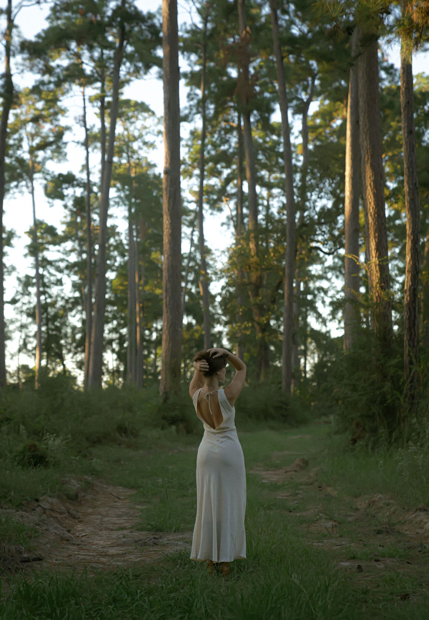 Figure in elegant white dress photographed from behind in towering pine forest at sunset.