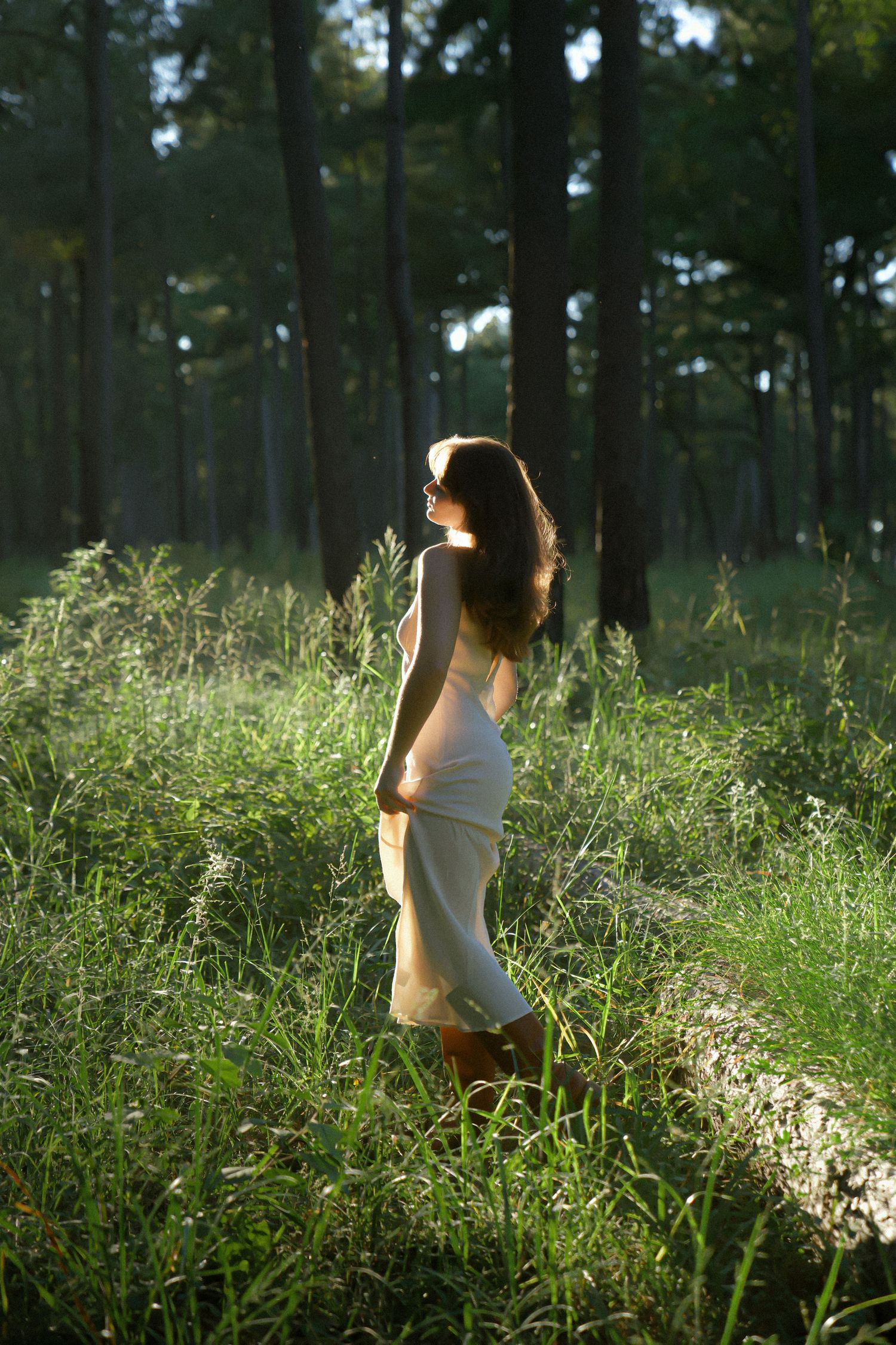 Backlit figure in white dress standing among tall grass in a pine forest.